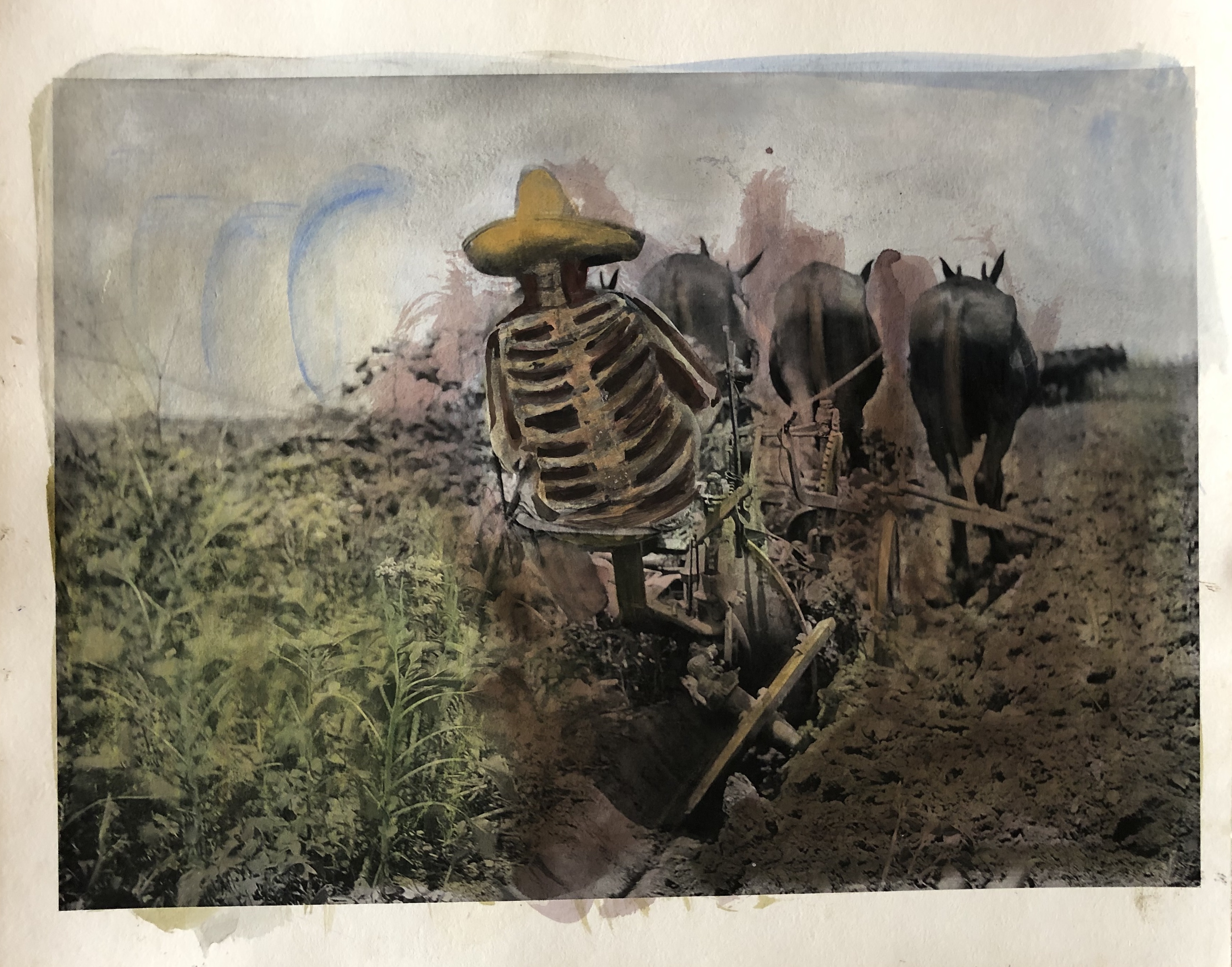 Serie El maíz de nuestro sustento | Lu' Biaani: Francisco Toledo y la fotografía | Museo Amparo, Puebla