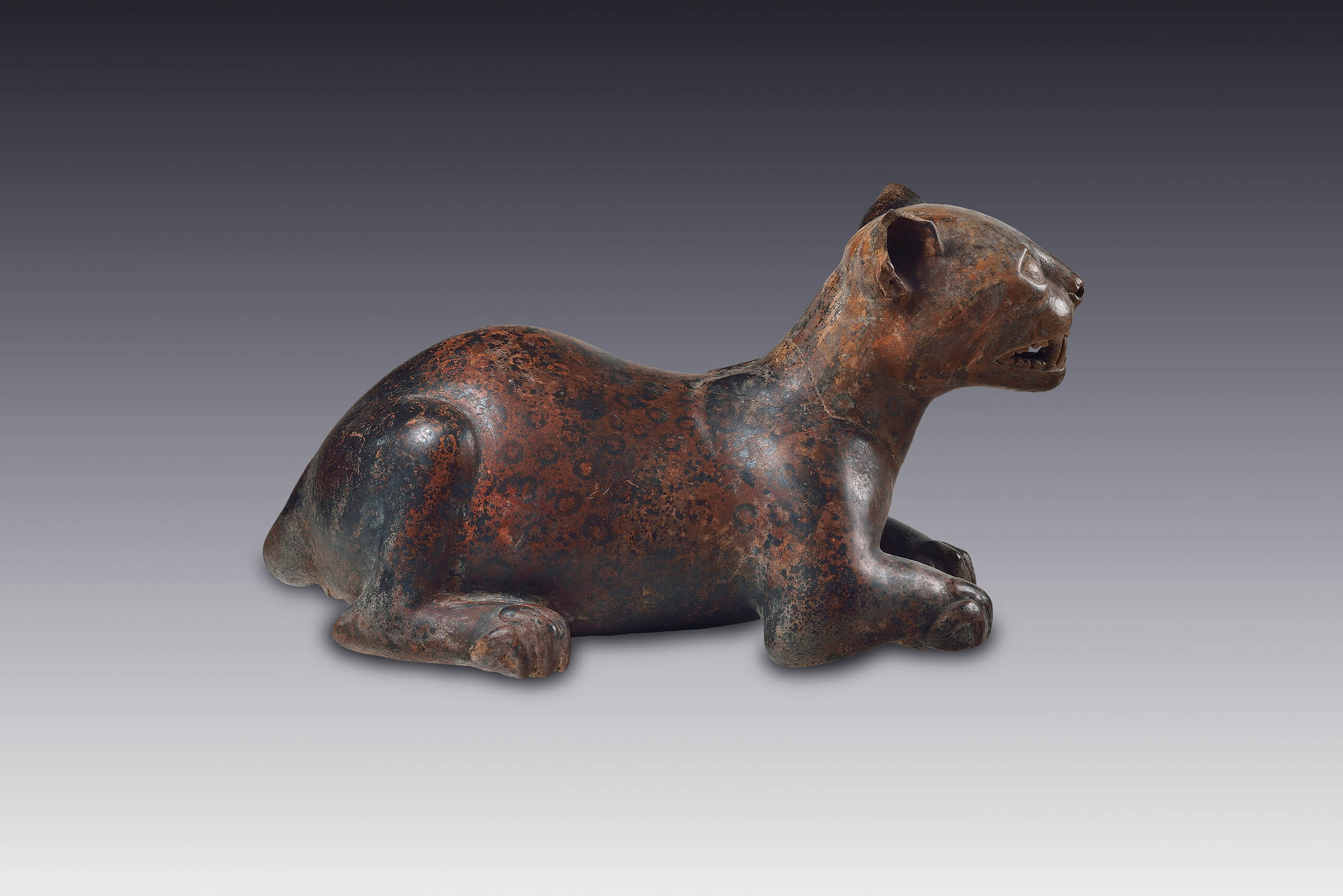 Felino en actitud de reposo | El México antiguo. Salas de Arte Prehispánico | Museo Amparo, Puebla