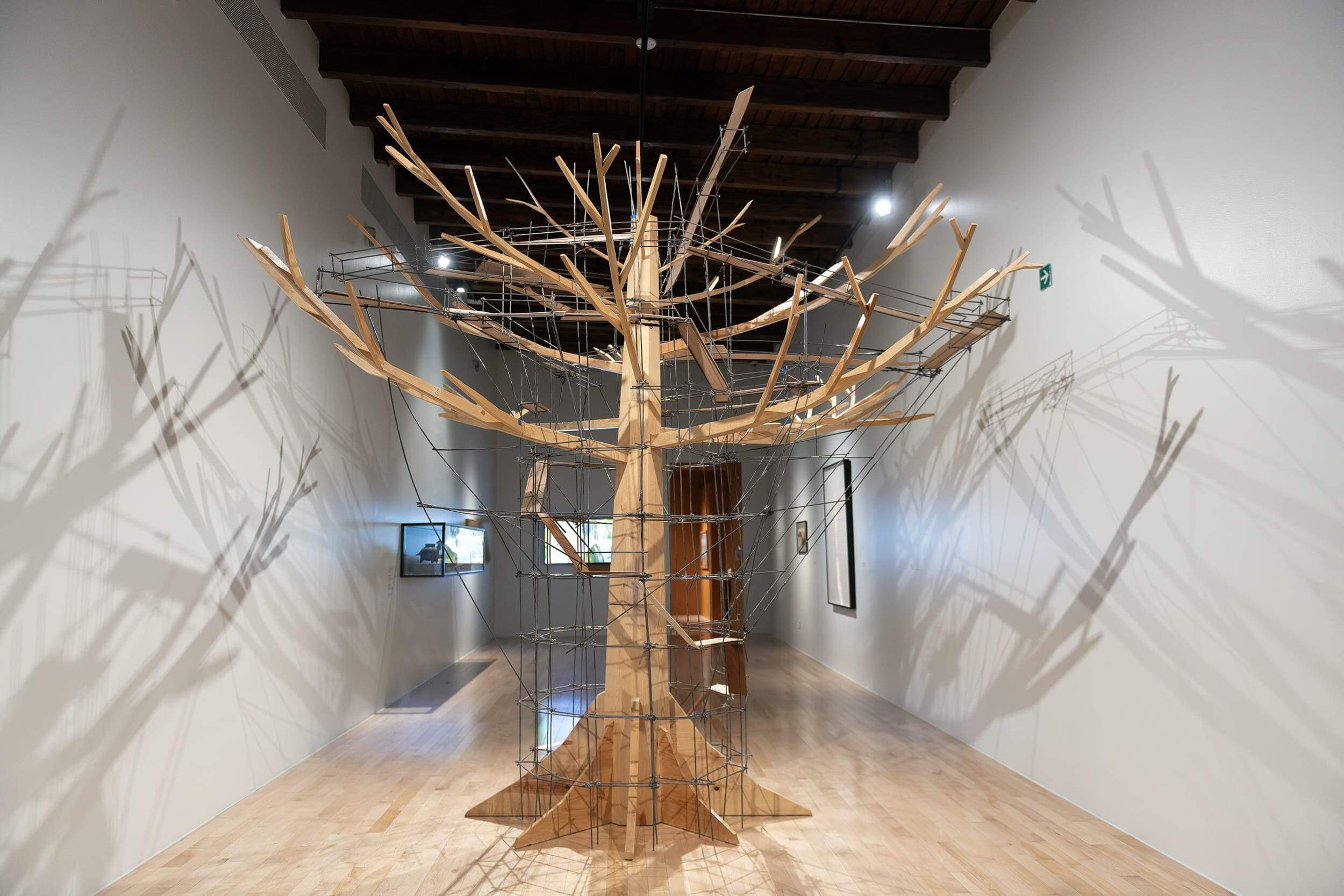 Antropoepifito | Una vuelta en espiral. 35 años Colección Museo Amparo | Museo Amparo, Puebla