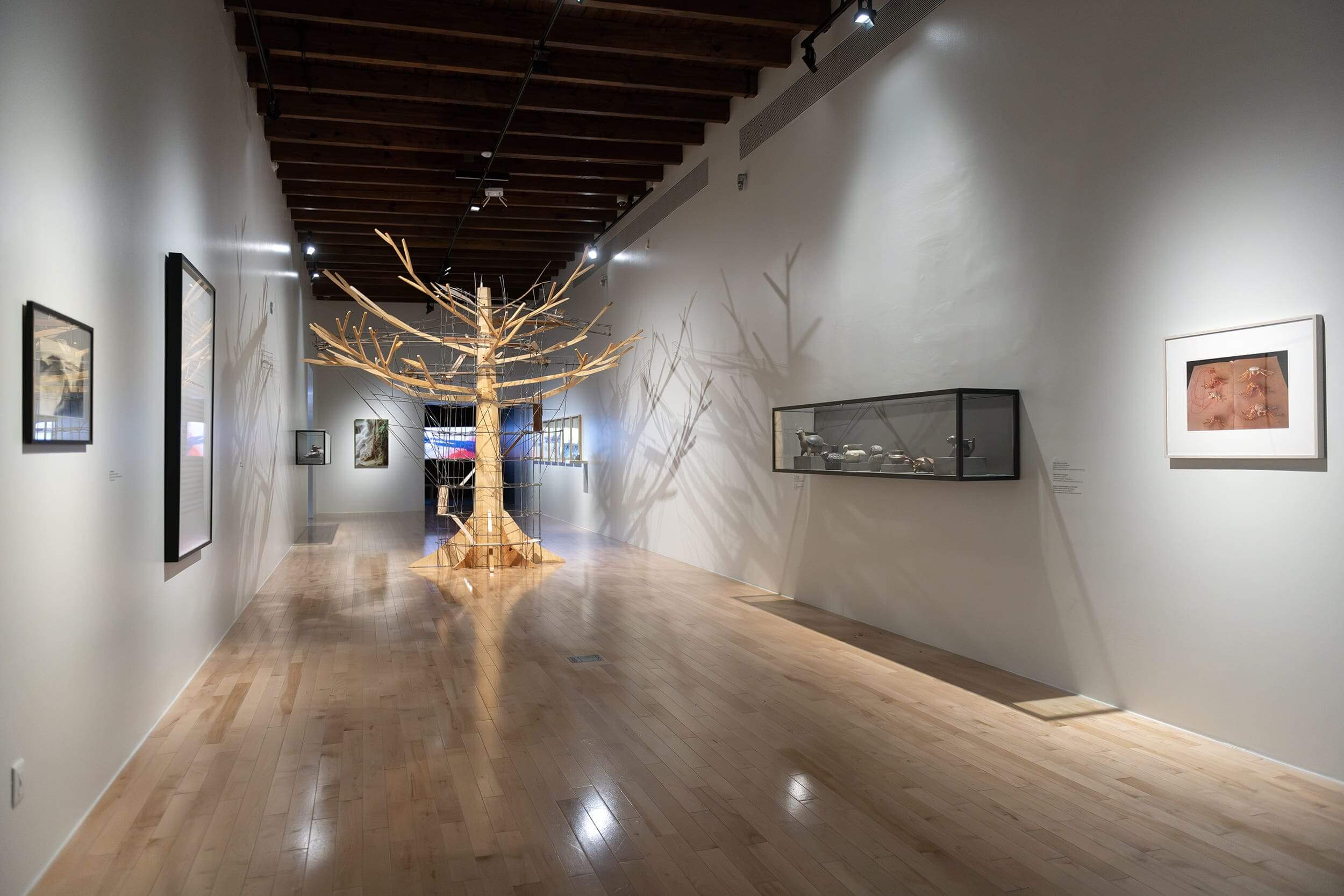 Antropoepifito | Una vuelta en espiral. 35 años Colección Museo Amparo | Museo Amparo, Puebla