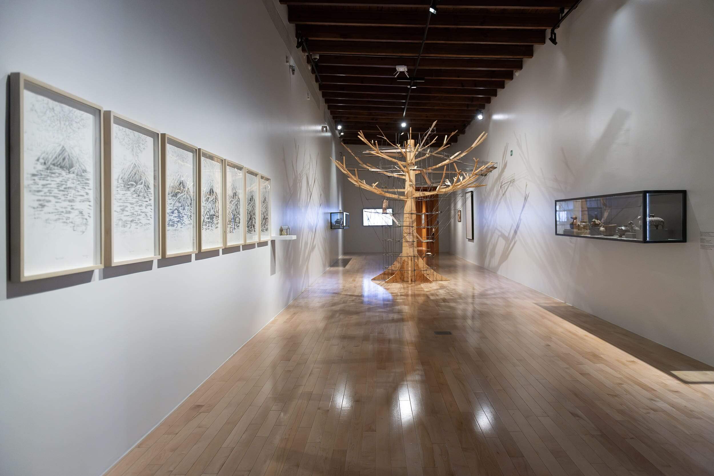 Antropoepifito | Una vuelta en espiral. 35 años Colección Museo Amparo | Museo Amparo, Puebla