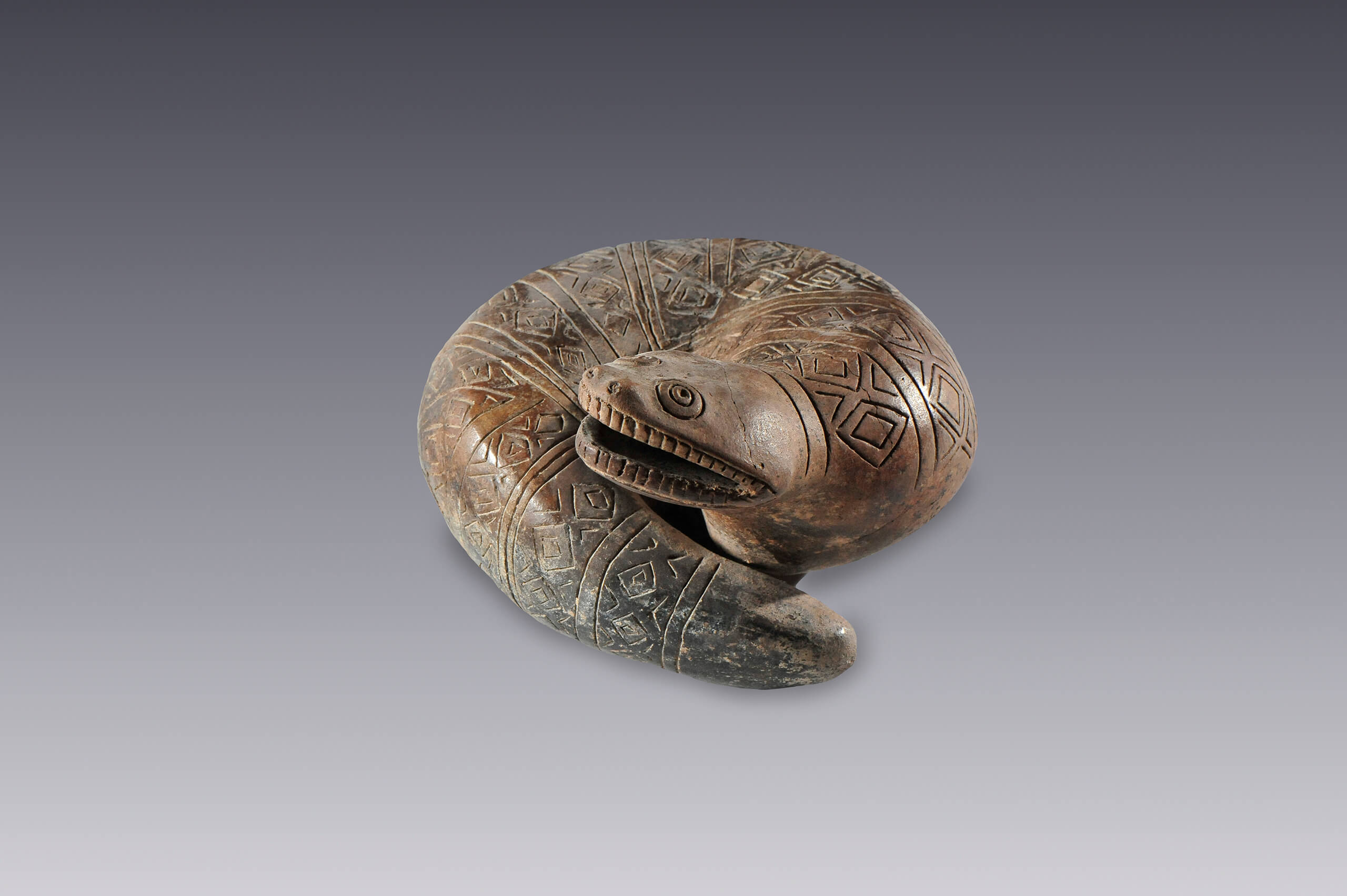 Serpiente de agua enroscada | El México antiguo. Salas de Arte Prehispánico | Museo Amparo, Puebla