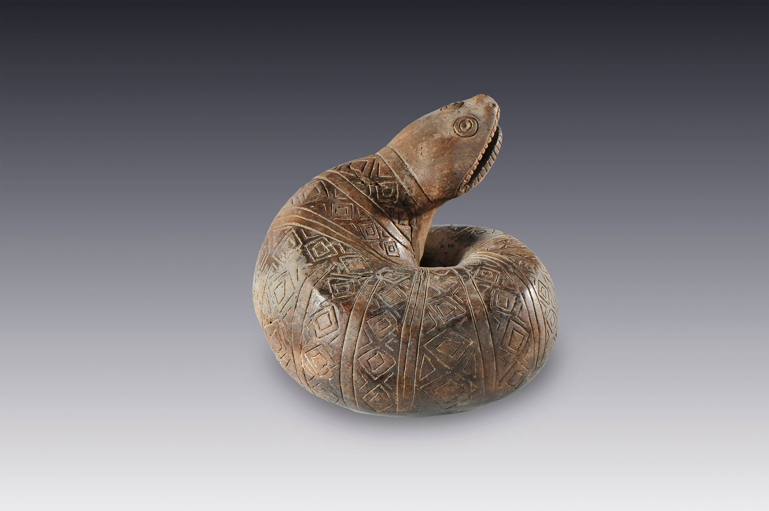 Serpiente de agua enroscada | El México antiguo. Salas de Arte Prehispánico | Museo Amparo, Puebla