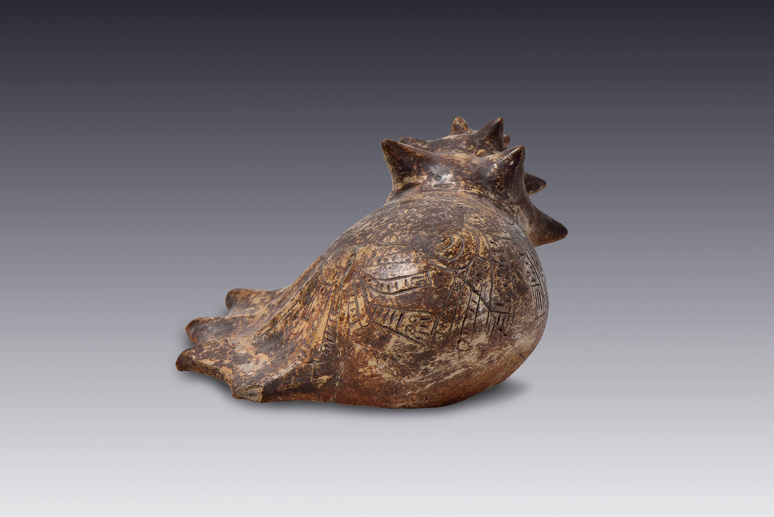 Figura de caracol marino | El México antiguo. Salas de Arte Prehispánico | Museo Amparo, Puebla