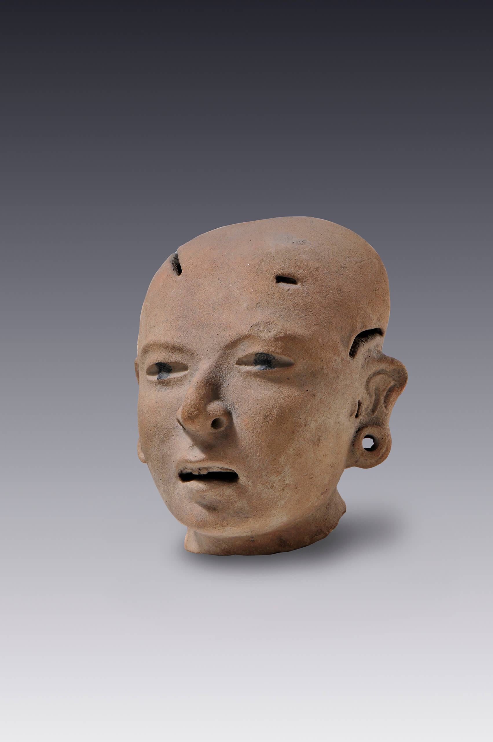 Rostro humano con dientes aserrados y grandes pupilas (fragmento) | El México antiguo. Salas de Arte Prehispánico | Museo Amparo, Puebla