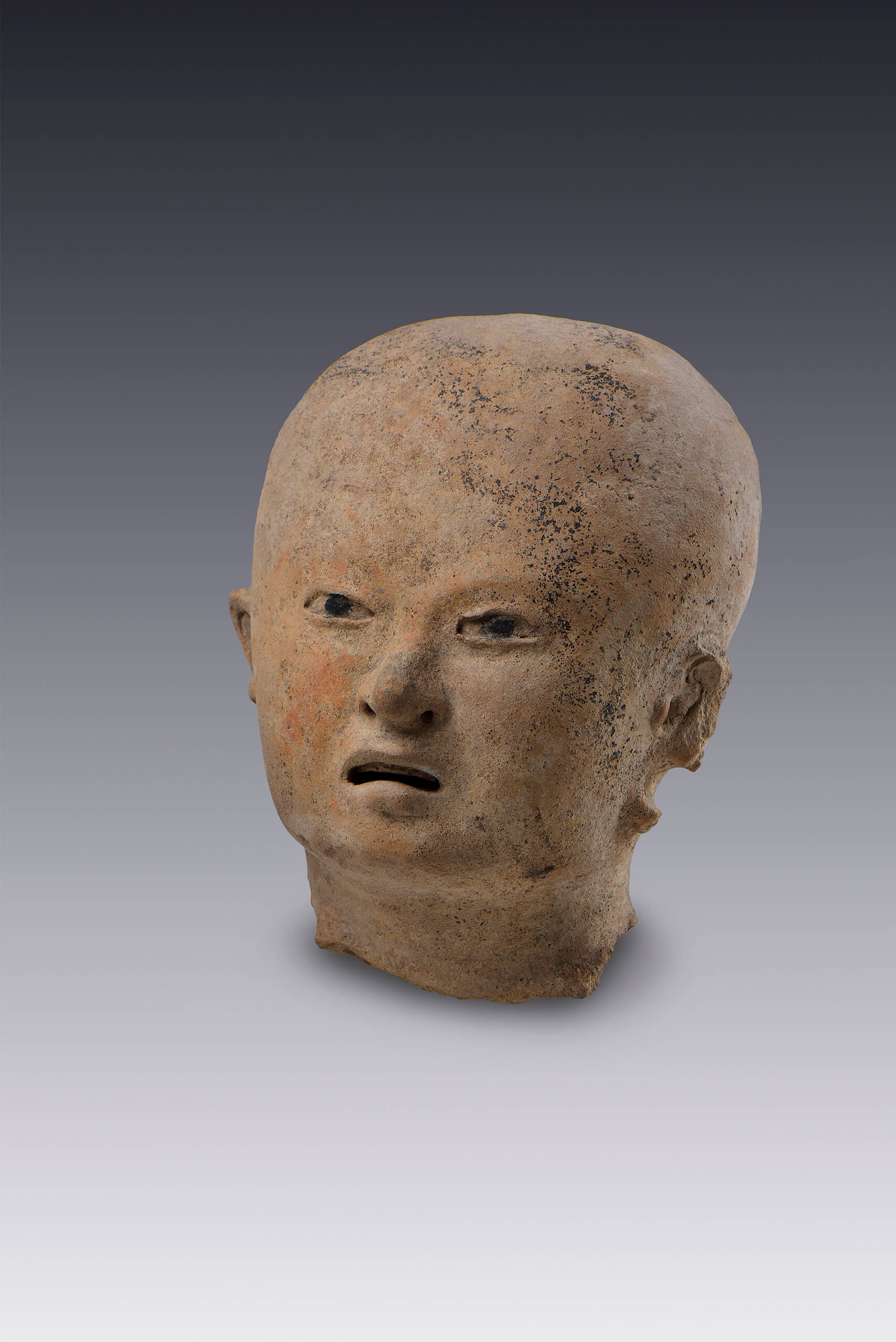 Cabeza con rostro pequeño (fragmento) | El México antiguo. Salas de Arte Prehispánico | Museo Amparo, Puebla