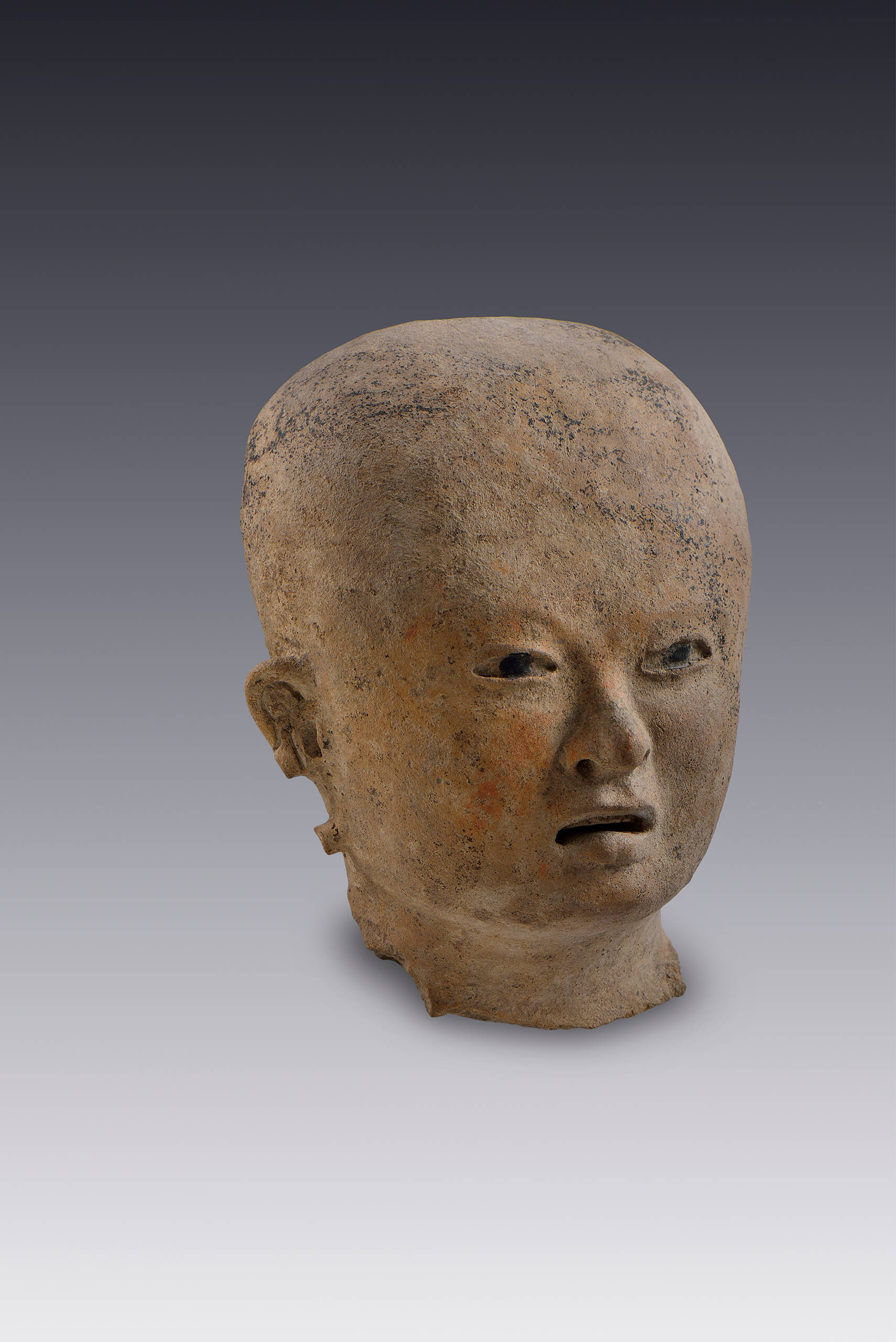Cabeza con rostro pequeño (fragmento) | El México antiguo. Salas de Arte Prehispánico | Museo Amparo, Puebla
