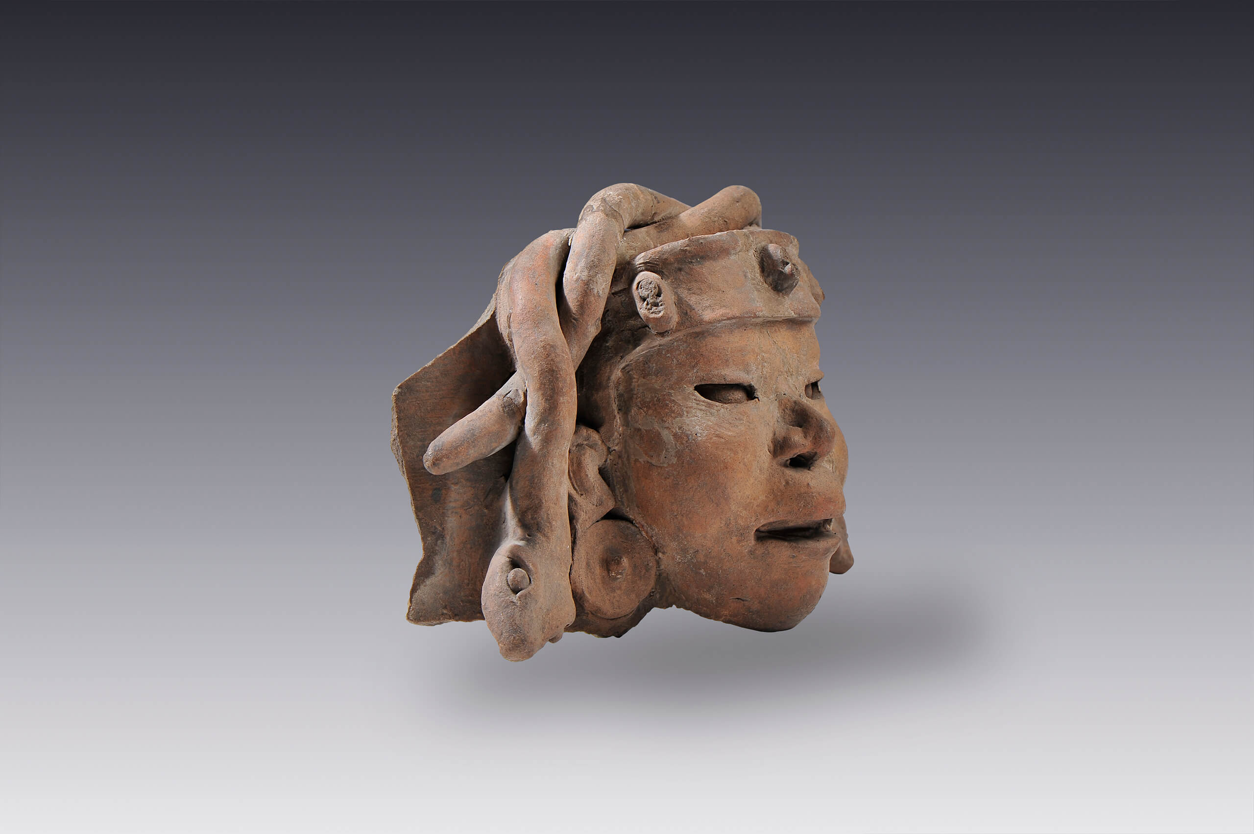 Cabeza con tocado de serpientes enlazadas | El México antiguo. Salas de Arte Prehispánico | Museo Amparo, Puebla