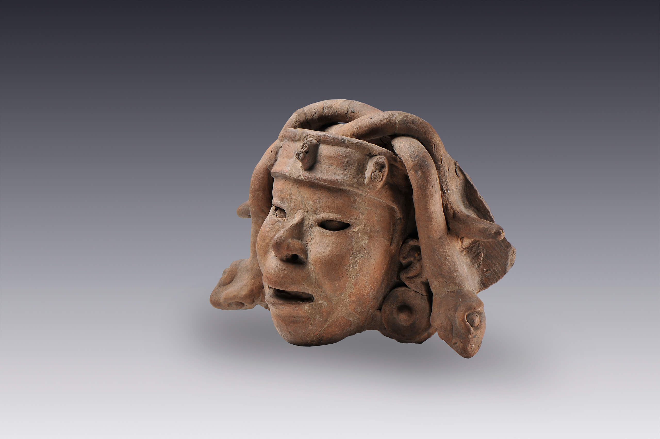 Cabeza con tocado de serpientes enlazadas | El México antiguo. Salas de Arte Prehispánico | Museo Amparo, Puebla