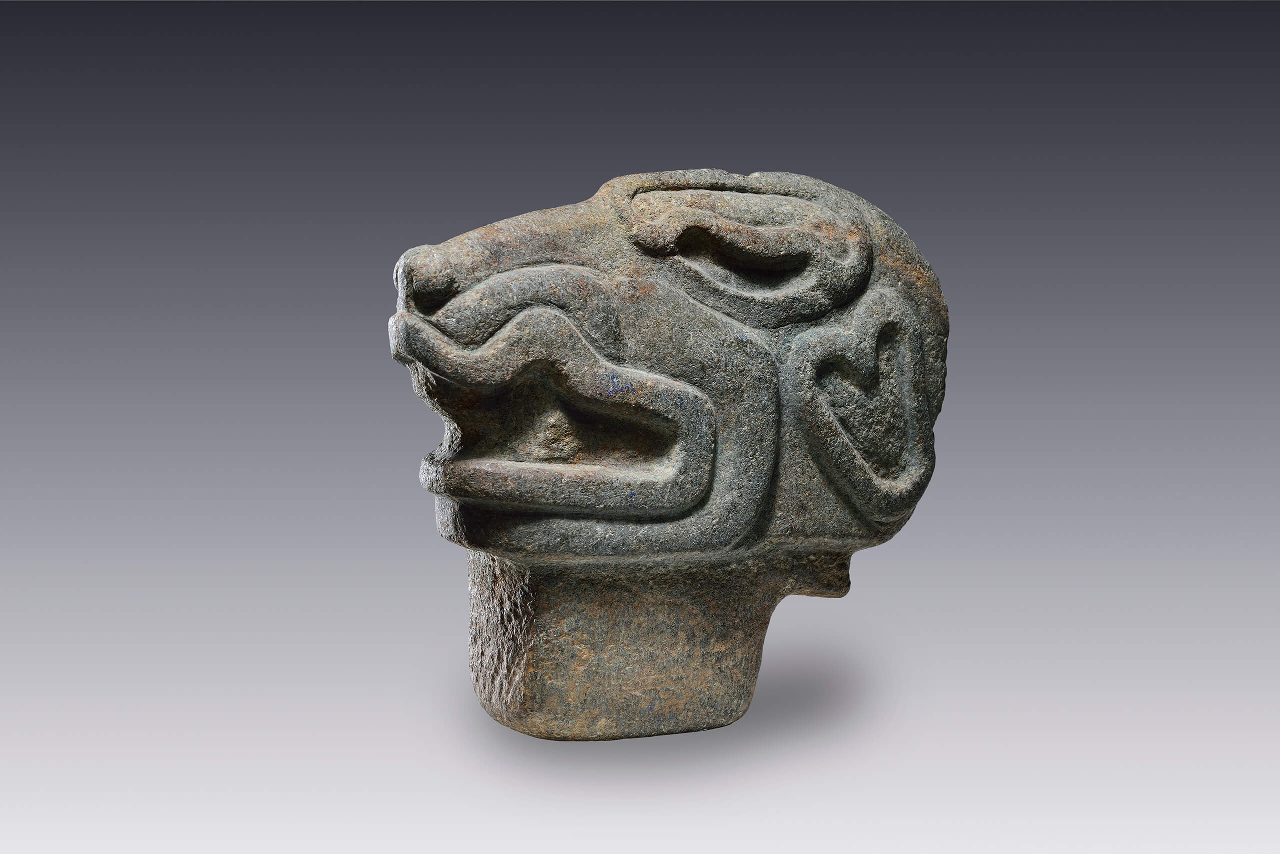 Escultura de un felino | El México antiguo. Salas de Arte Prehispánico | Museo Amparo, Puebla