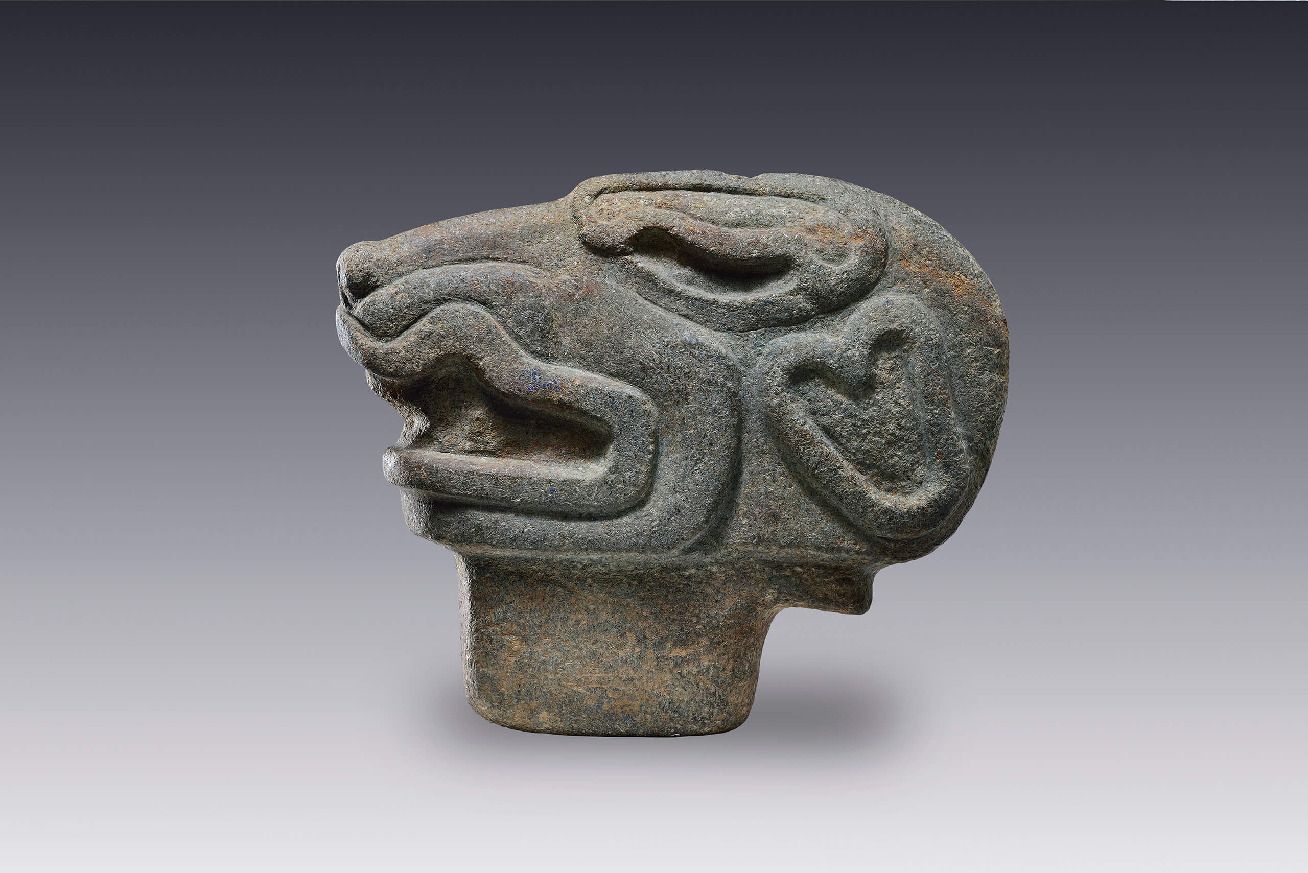 Escultura de un felino | El México antiguo. Salas de Arte Prehispánico | Museo Amparo, Puebla