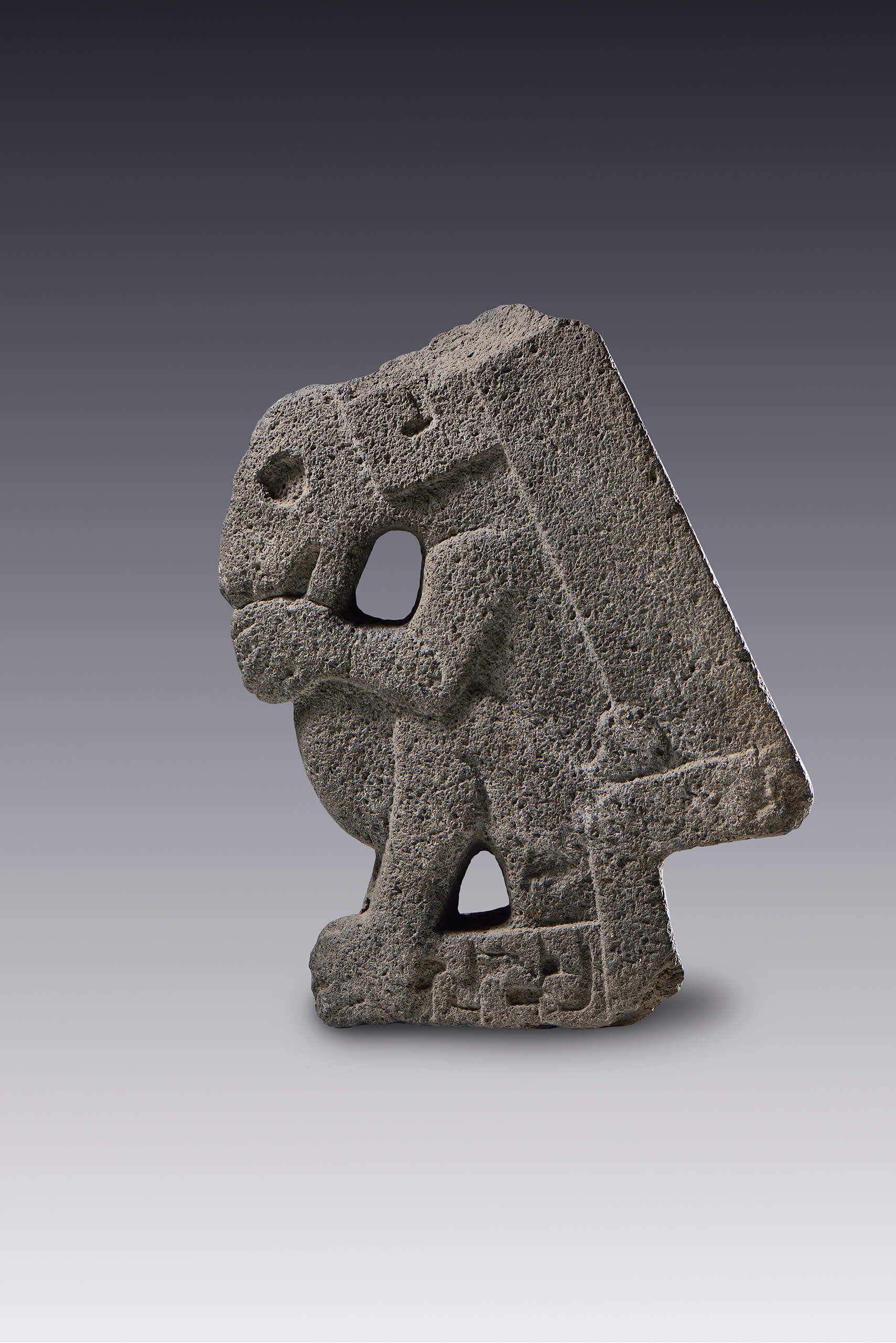 "Hacha", escultura votiva de un perro sentado | El México antiguo. Salas de Arte Prehispánico | Museo Amparo, Puebla