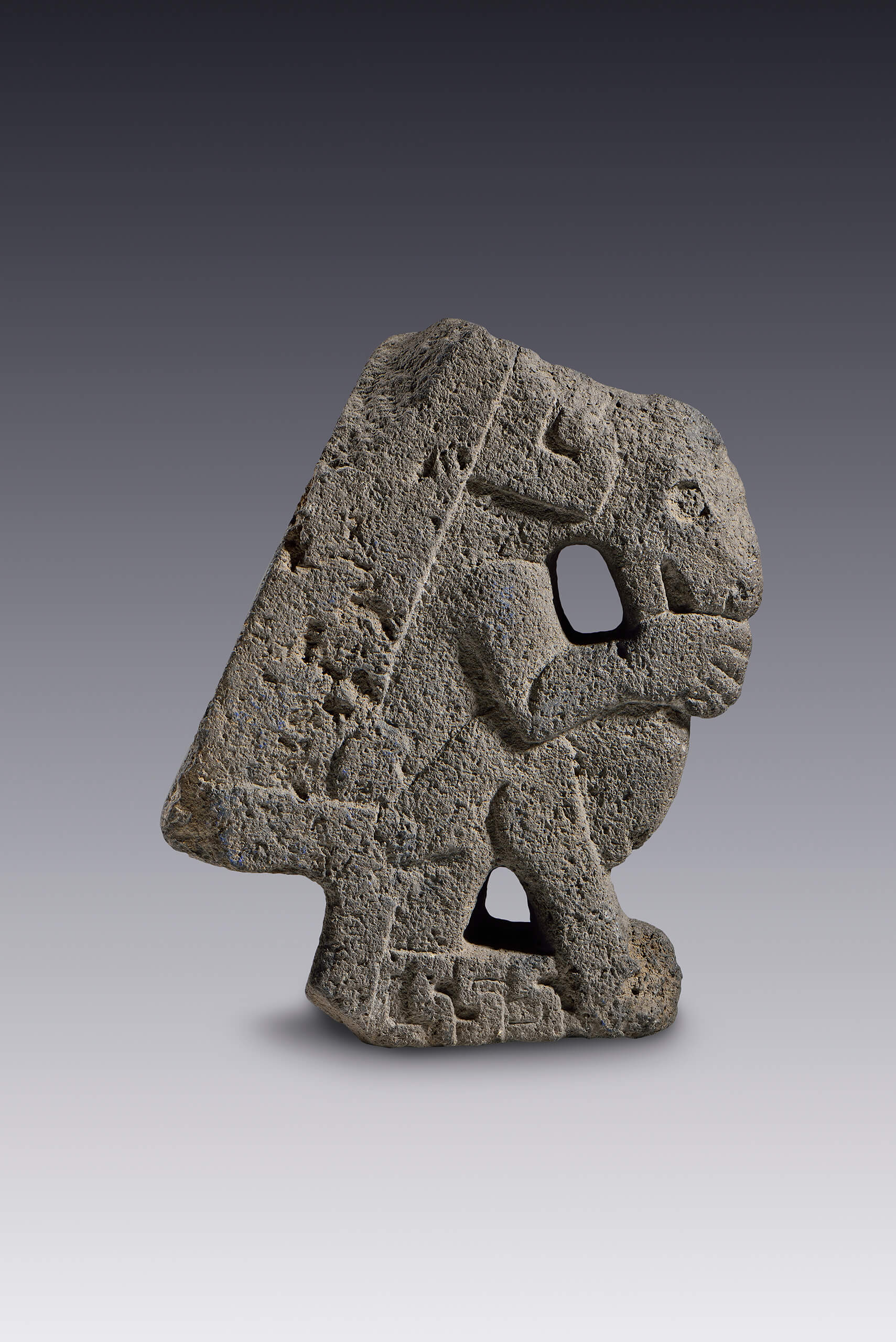 "Hacha", escultura votiva de un perro sentado | El México antiguo. Salas de Arte Prehispánico | Museo Amparo, Puebla