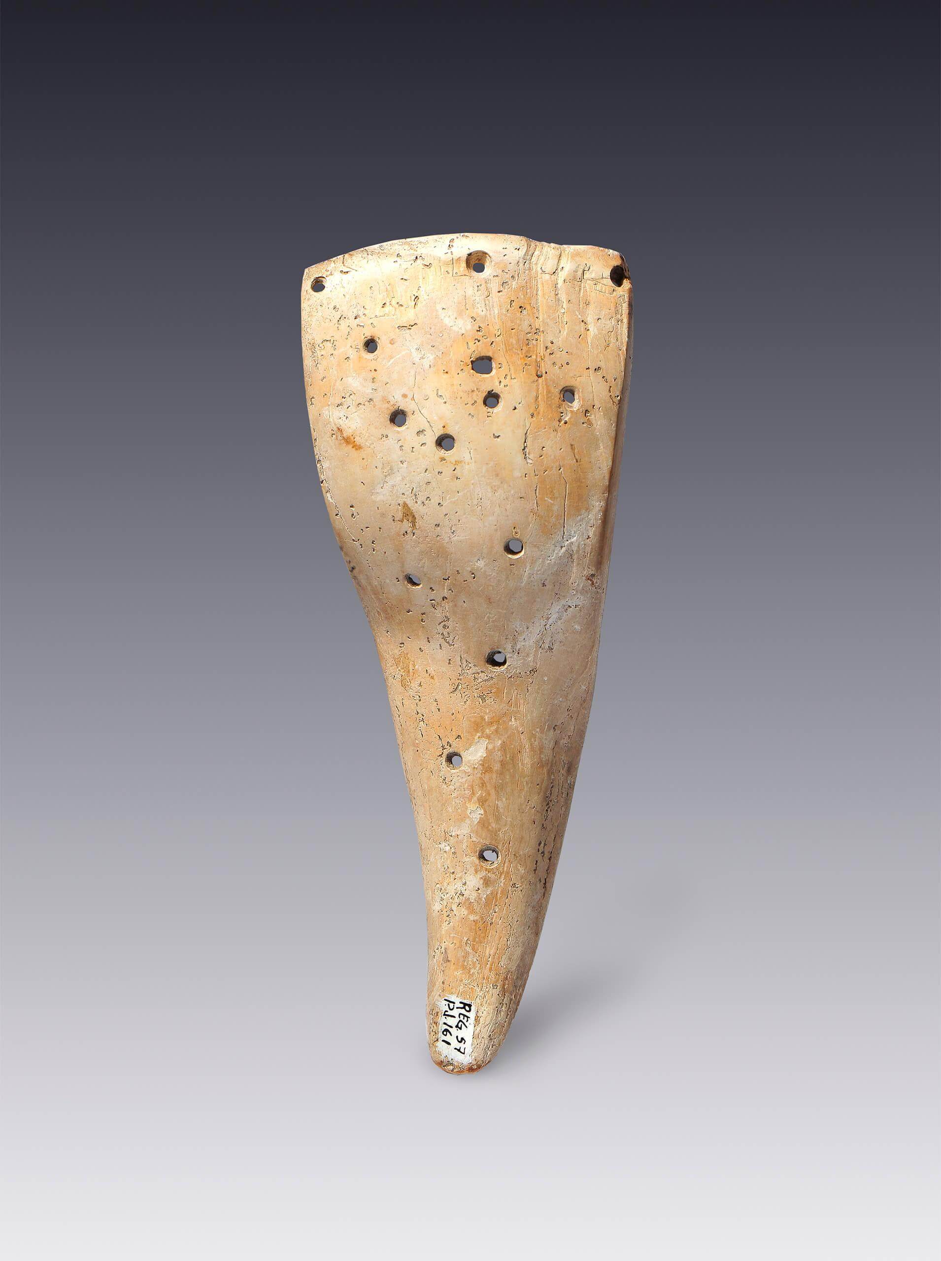 Fragmento de caracol con temas de guerra | El México antiguo. Salas de Arte Prehispánico | Museo Amparo, Puebla