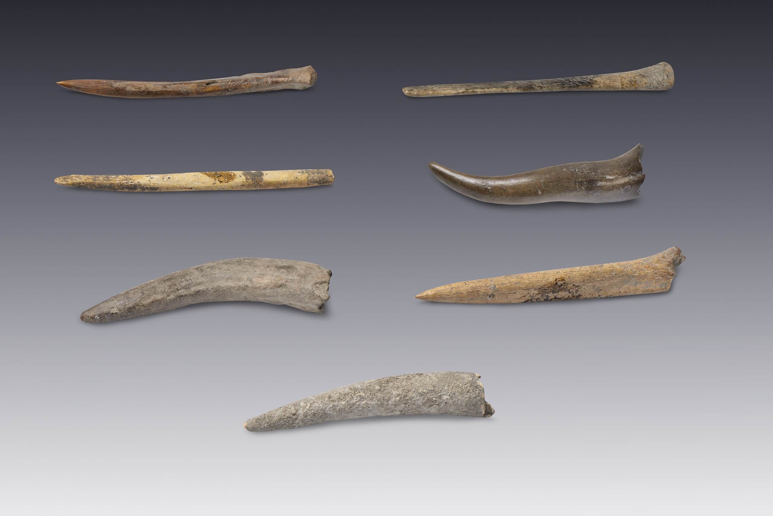 Sangradores | El M&eacute;xico antiguo. Salas de Arte Prehisp&aacute;nico | Museo Amparo, Puebla