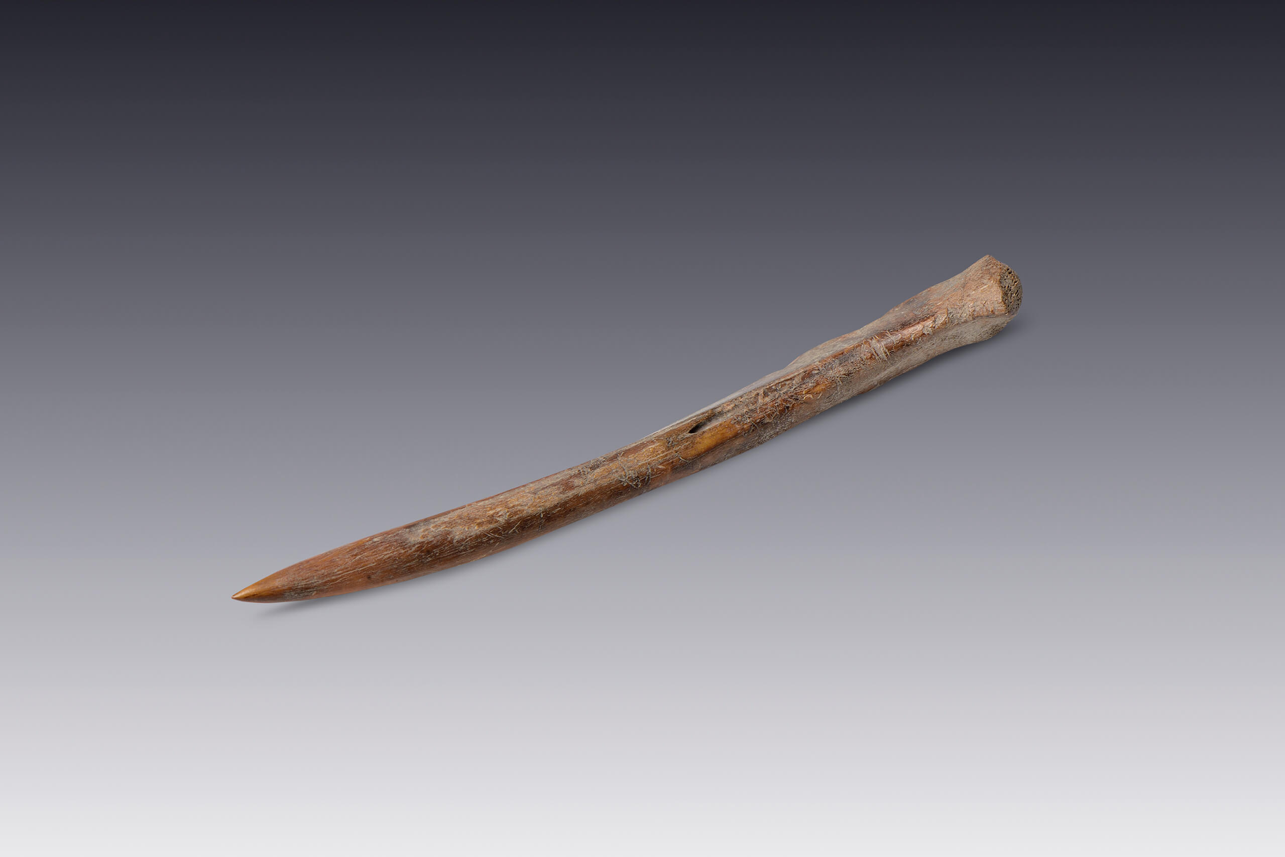 Sangradores | El M&eacute;xico antiguo. Salas de Arte Prehisp&aacute;nico | Museo Amparo, Puebla