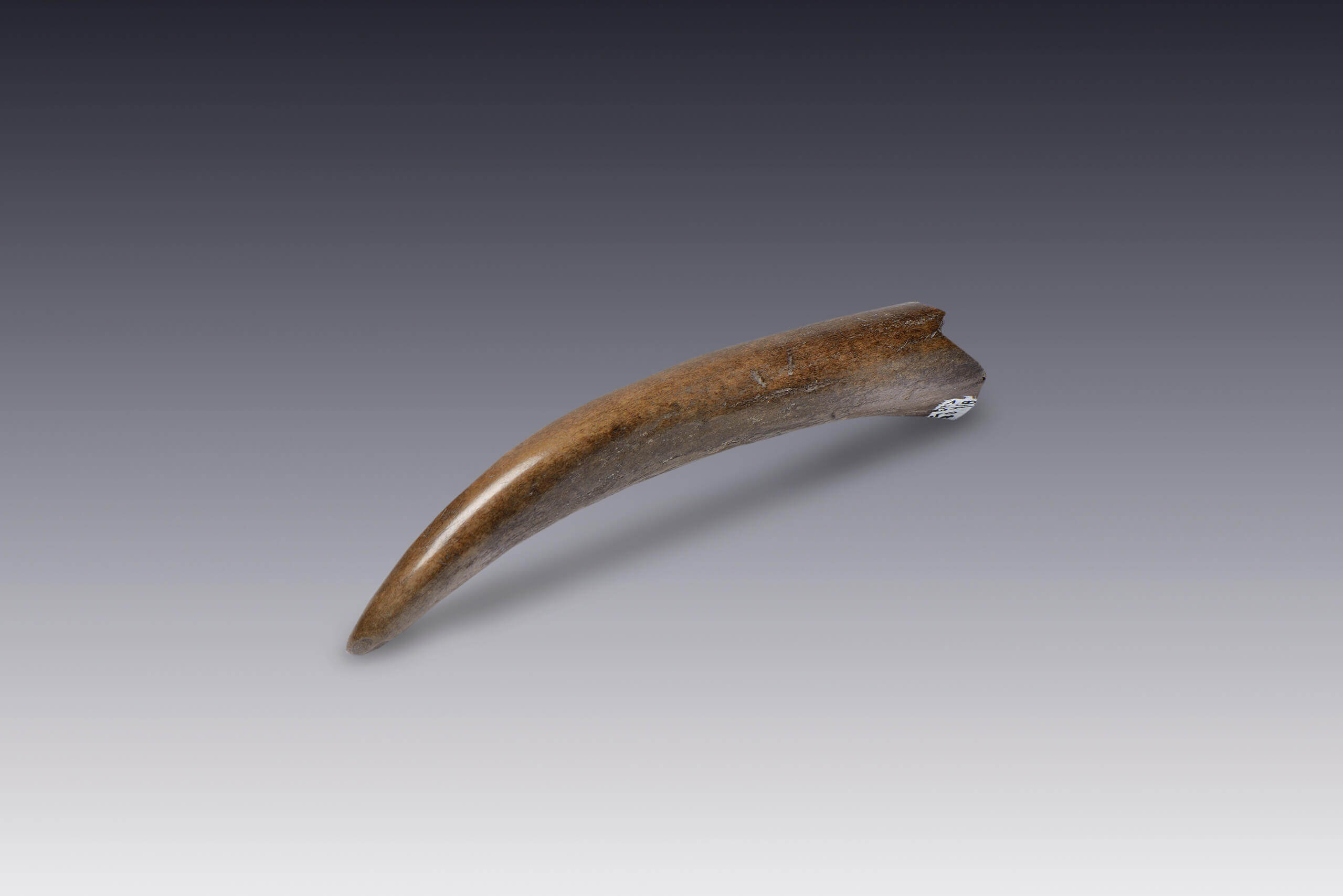 Sangradores | El M&eacute;xico antiguo. Salas de Arte Prehisp&aacute;nico | Museo Amparo, Puebla