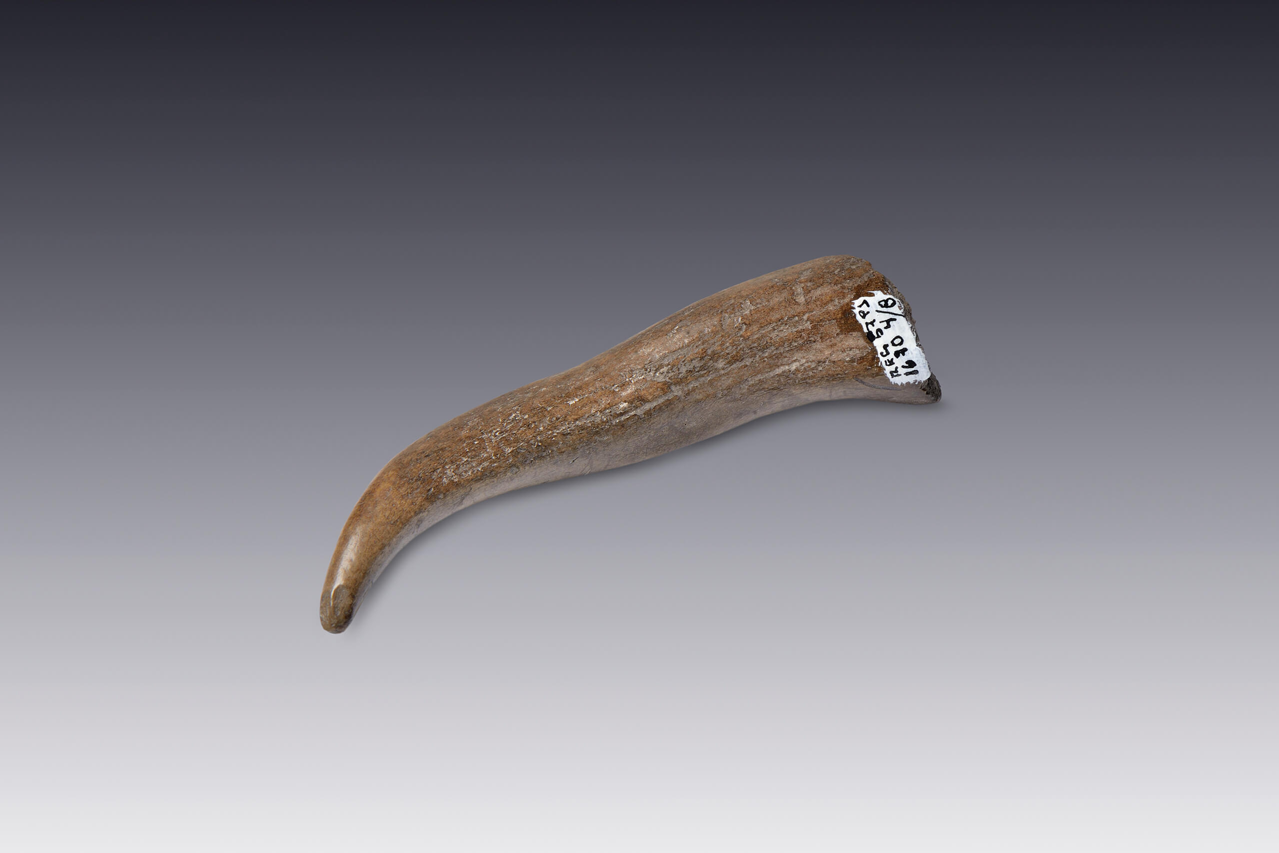 Sangradores | El M&eacute;xico antiguo. Salas de Arte Prehisp&aacute;nico | Museo Amparo, Puebla