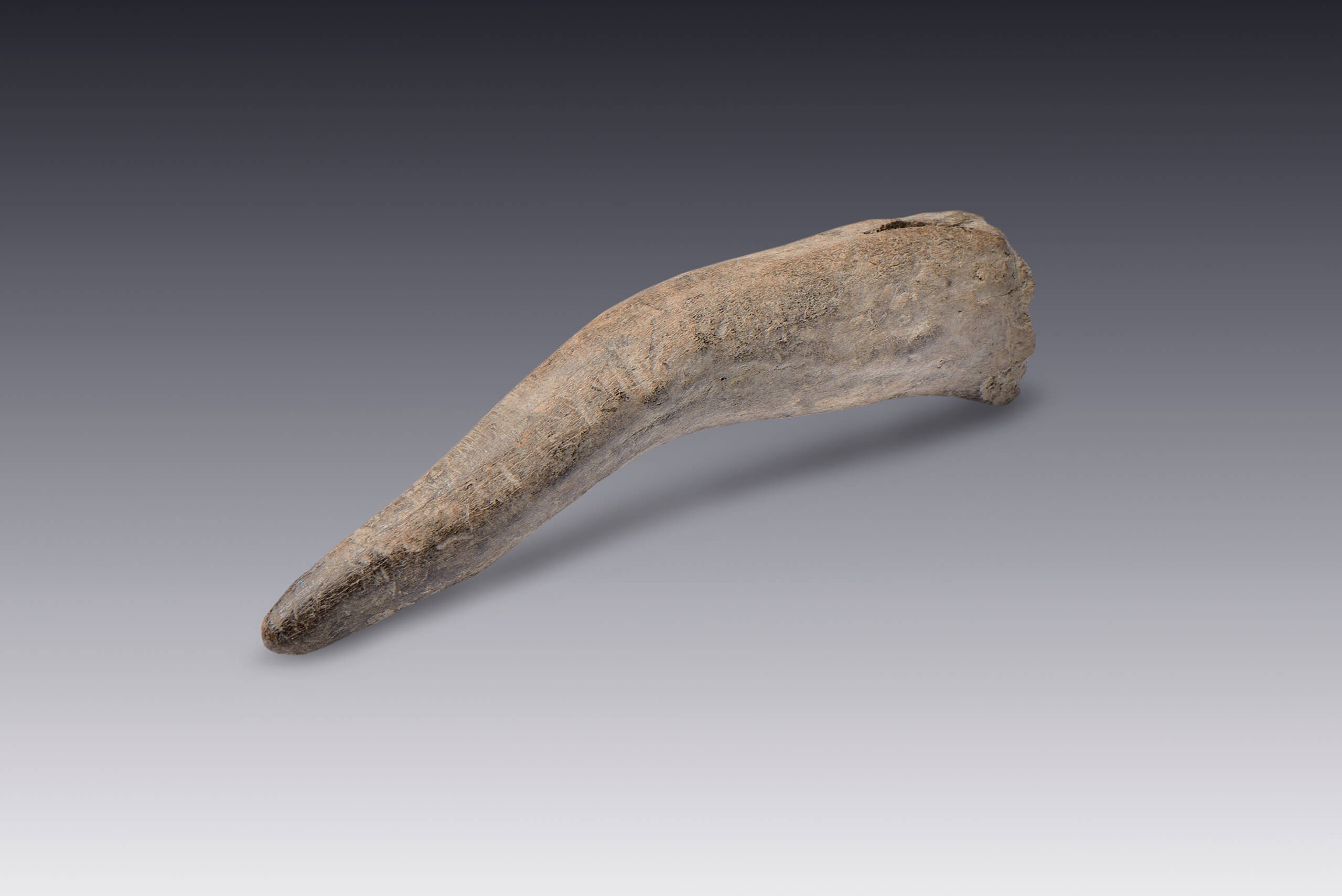 Sangradores | El M&eacute;xico antiguo. Salas de Arte Prehisp&aacute;nico | Museo Amparo, Puebla