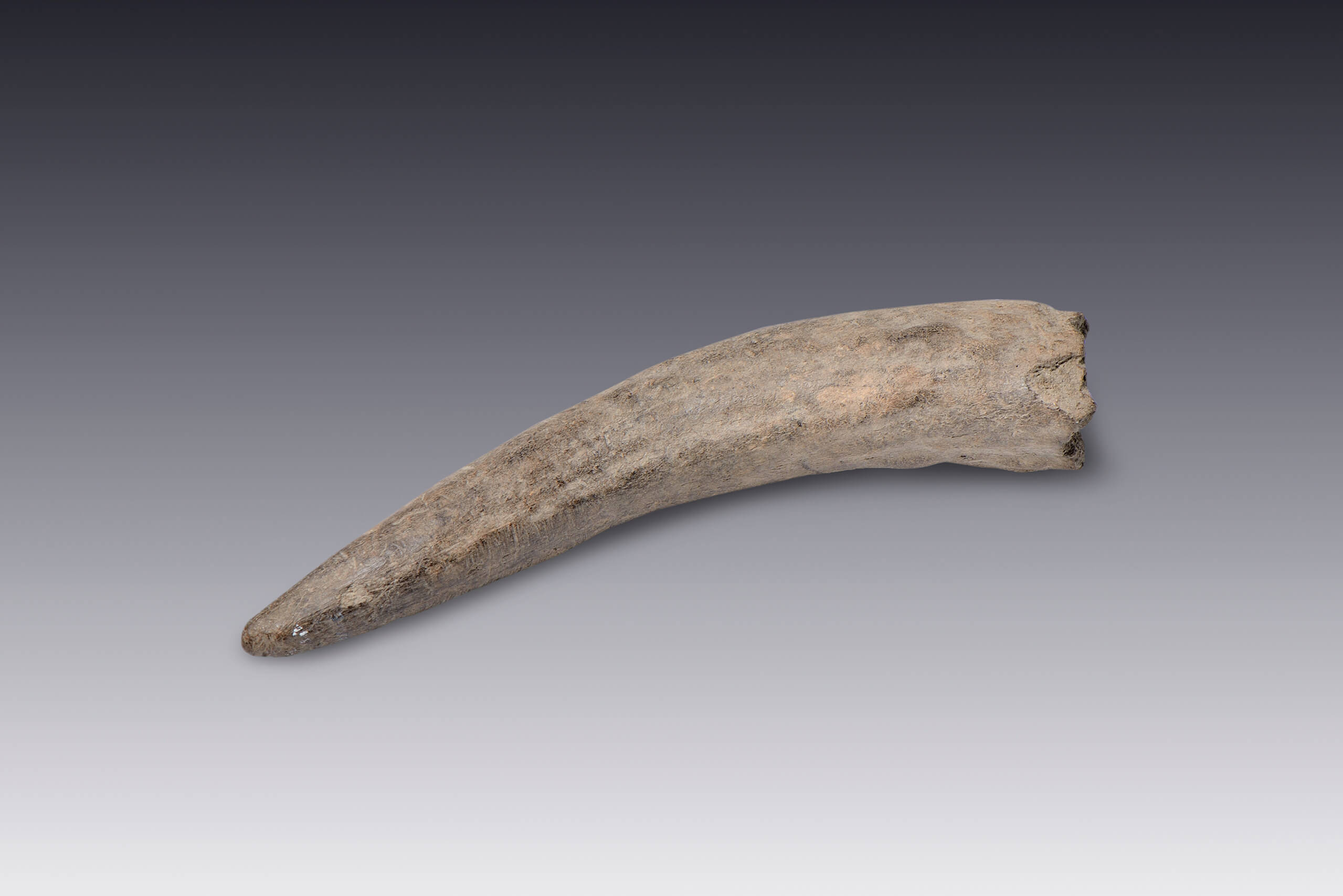 Sangradores | El M&eacute;xico antiguo. Salas de Arte Prehisp&aacute;nico | Museo Amparo, Puebla