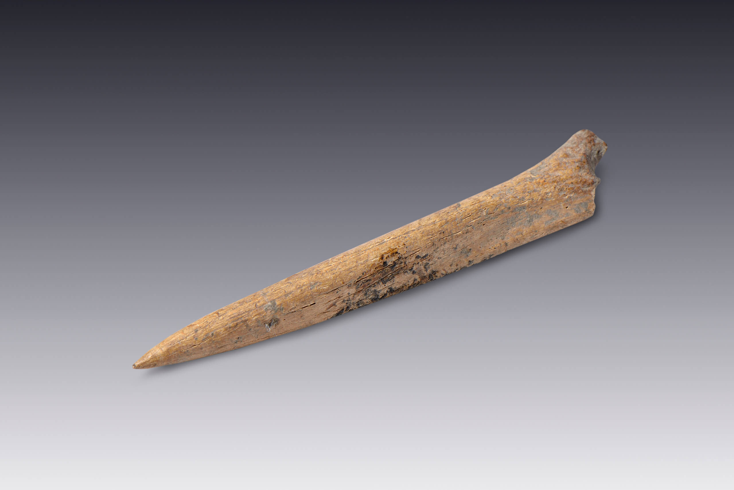 Sangradores | El M&eacute;xico antiguo. Salas de Arte Prehisp&aacute;nico | Museo Amparo, Puebla