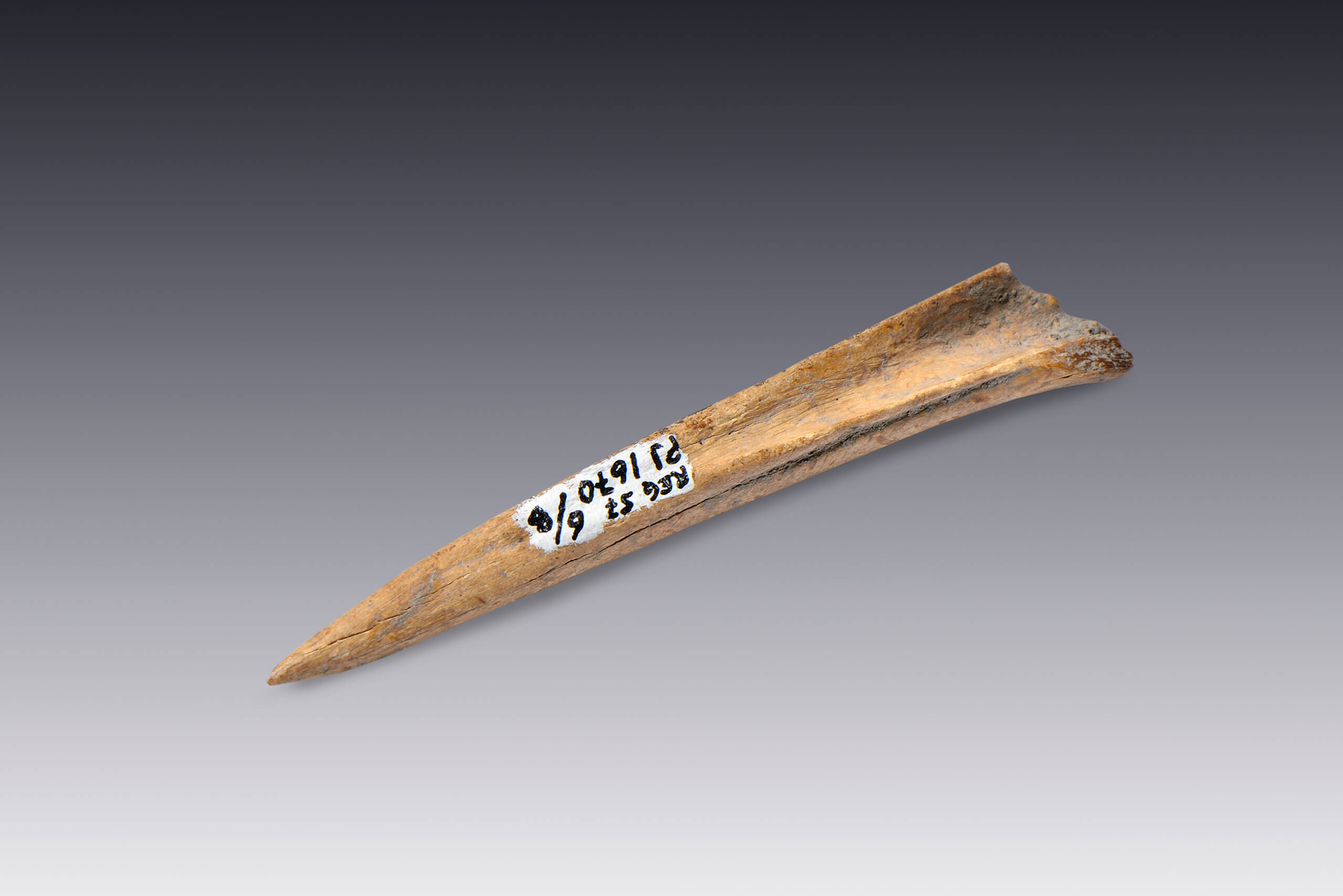 Sangradores | El M&eacute;xico antiguo. Salas de Arte Prehisp&aacute;nico | Museo Amparo, Puebla