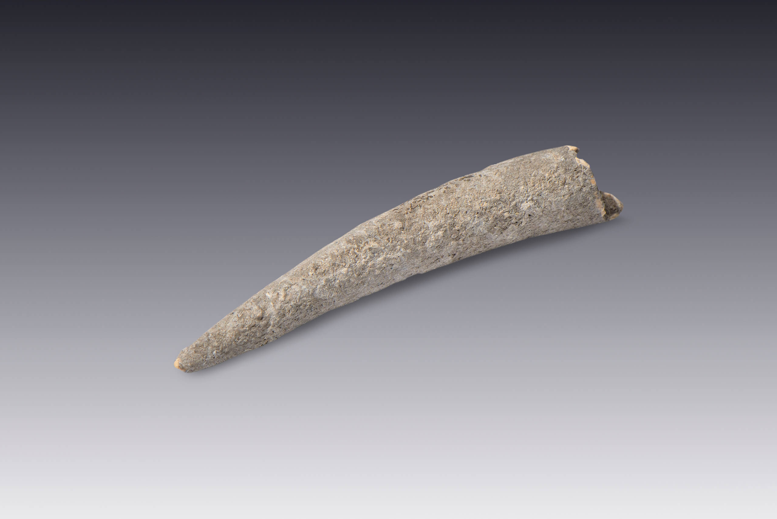 Sangradores | El M&eacute;xico antiguo. Salas de Arte Prehisp&aacute;nico | Museo Amparo, Puebla