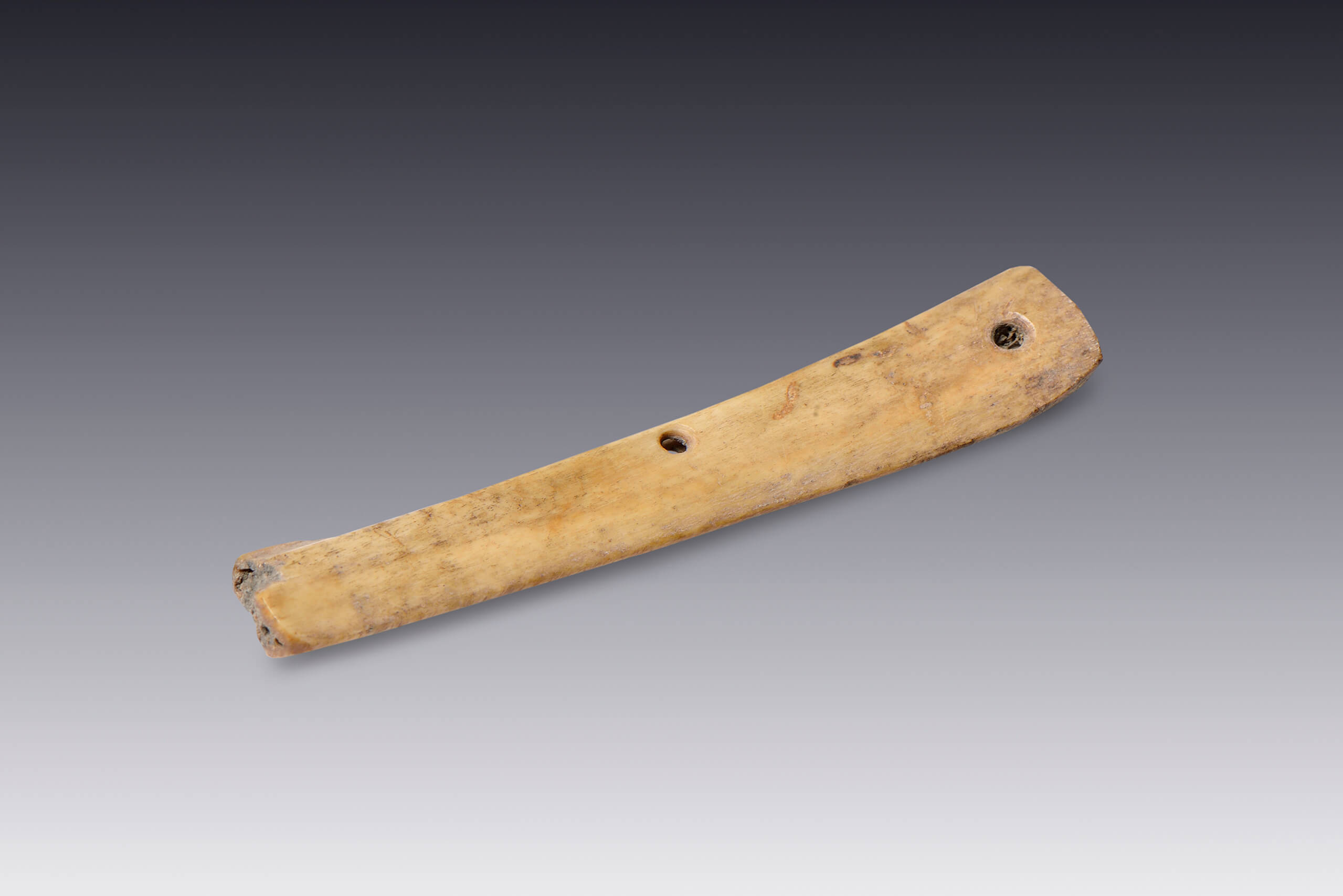 Colgante | El M&eacute;xico antiguo. Salas de Arte Prehisp&aacute;nico | Museo Amparo, Puebla