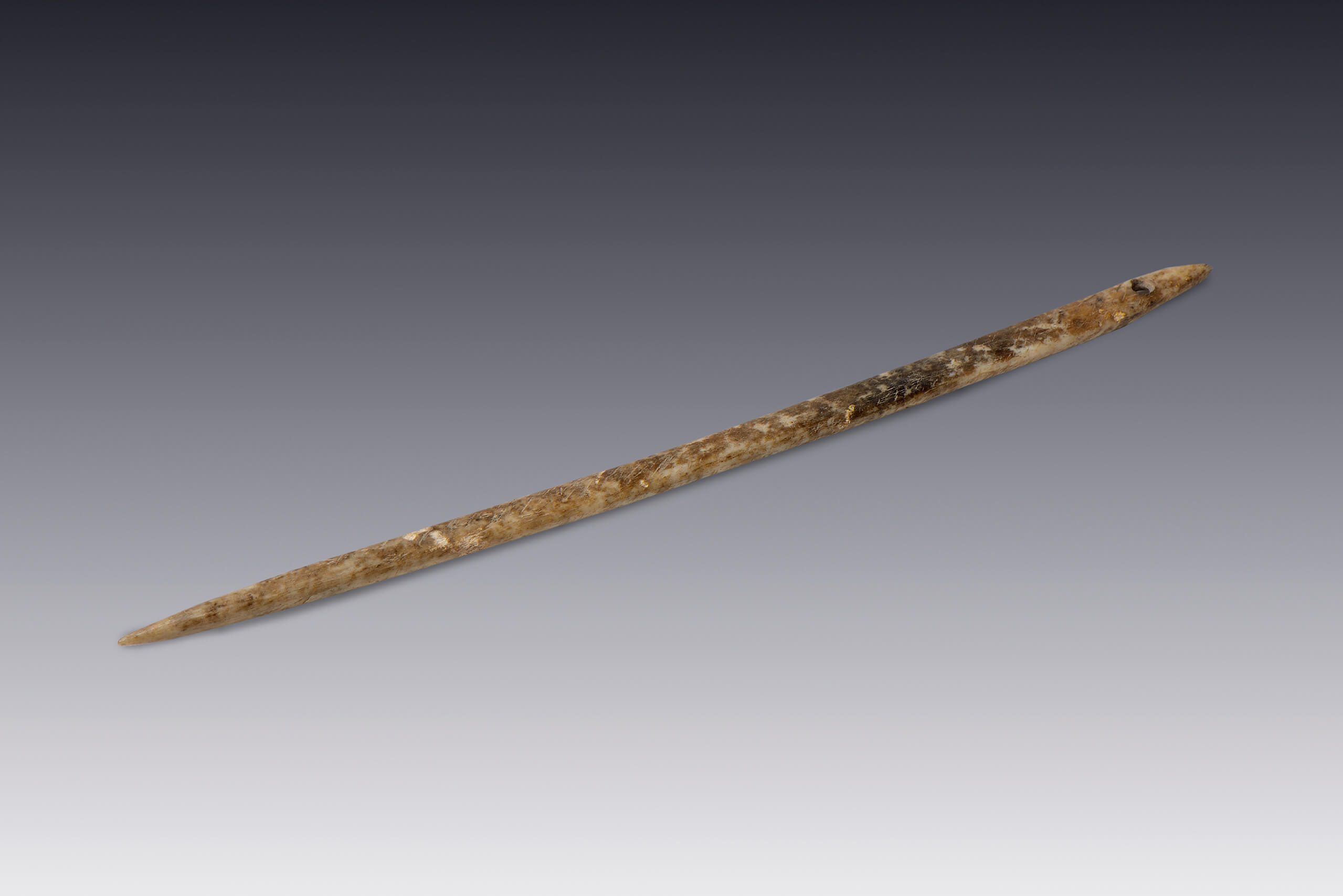 Aguja | El M&eacute;xico antiguo. Salas de Arte Prehisp&aacute;nico | Museo Amparo, Puebla