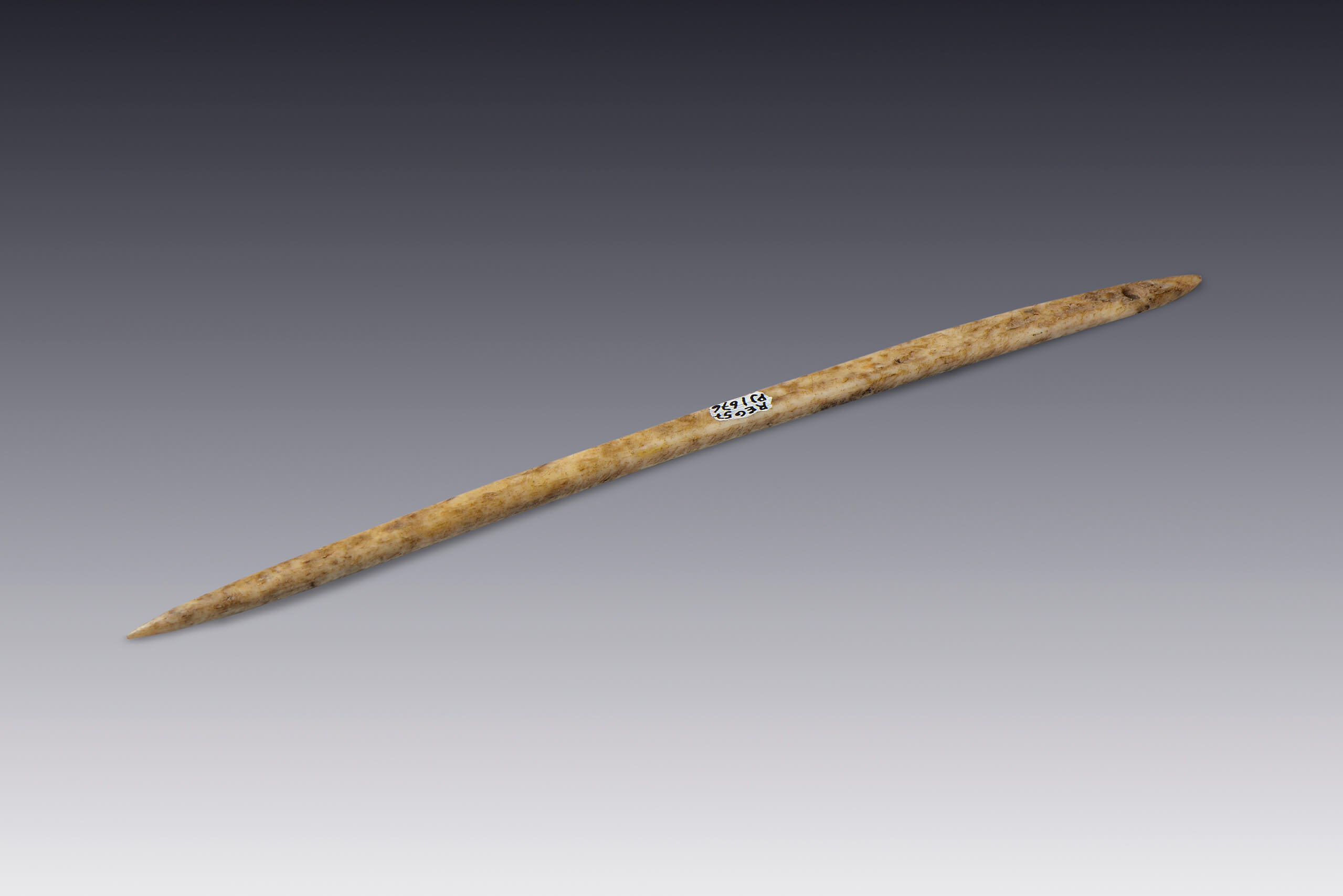 Aguja | El M&eacute;xico antiguo. Salas de Arte Prehisp&aacute;nico | Museo Amparo, Puebla