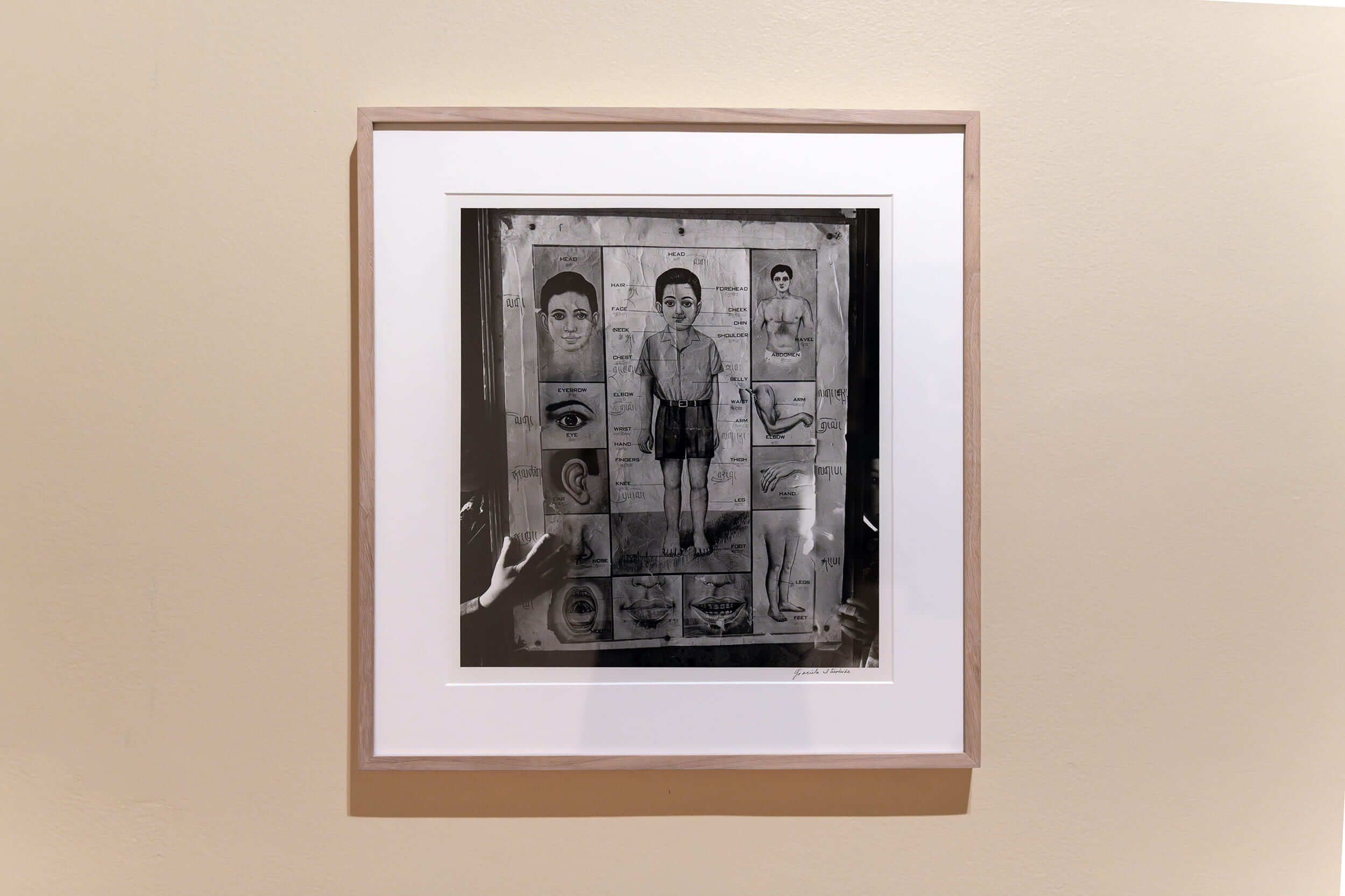Sin t&iacute;tulo | Una vuelta en espiral. 35 años Colección Museo Amparo | Museo Amparo, Puebla