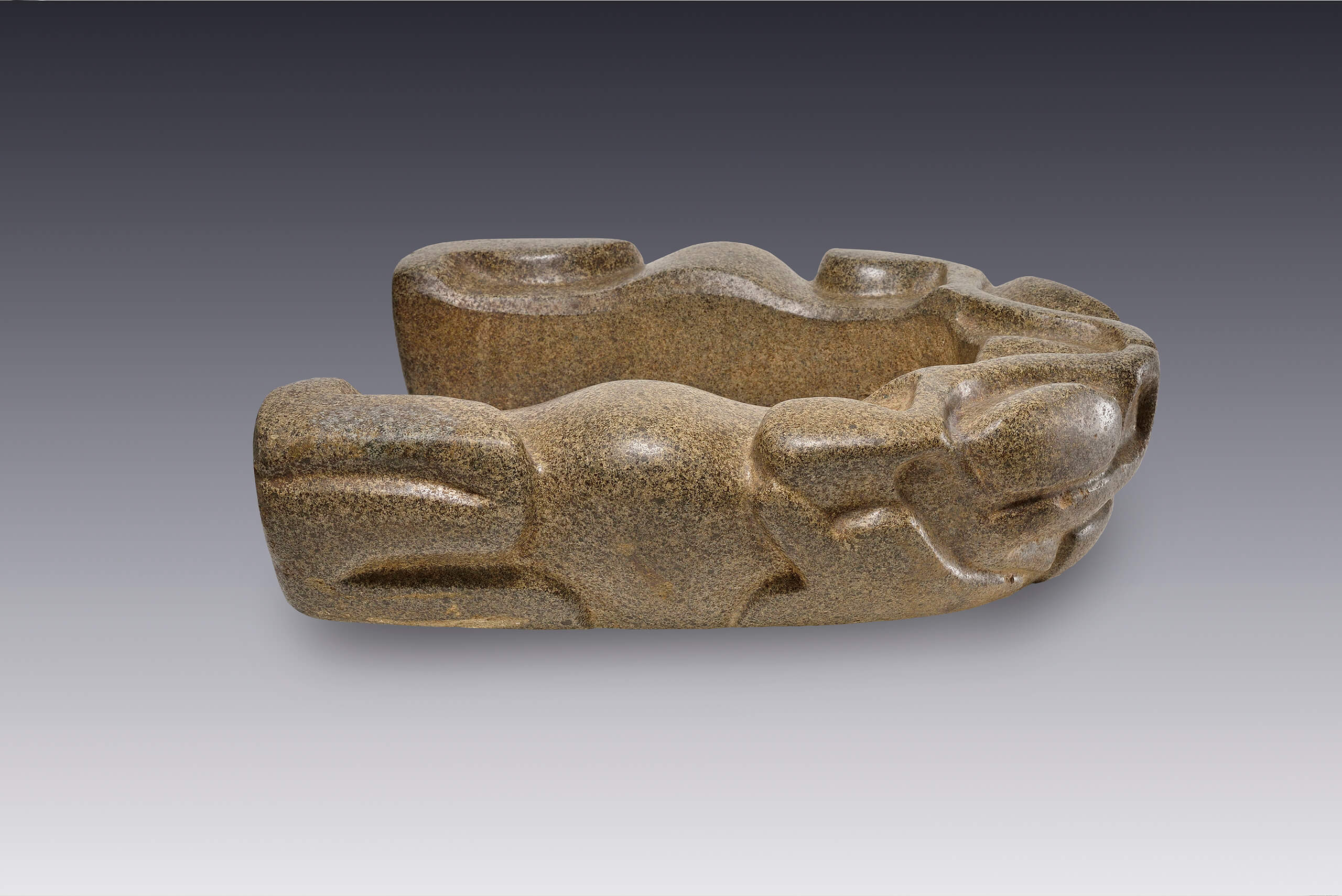 Yugo con la imagen de un sapo | El México antiguo. Salas de Arte Prehispánico | Museo Amparo, Puebla