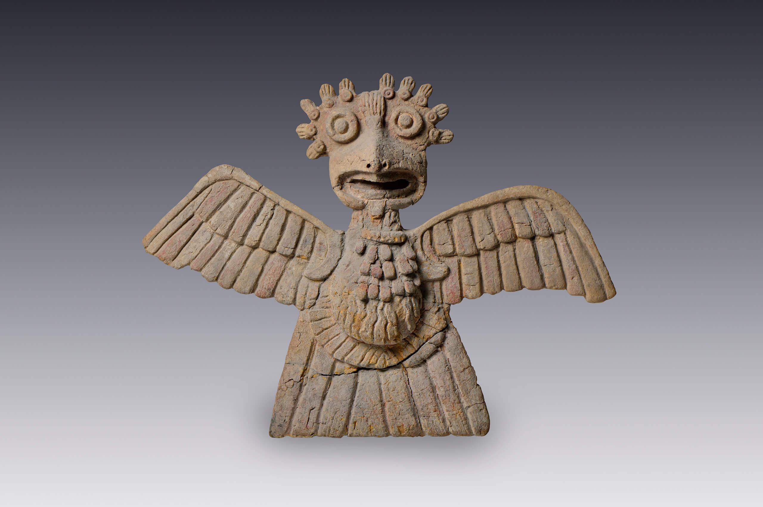 Águila | El México antiguo. Salas de Arte Prehispánico | Museo Amparo, Puebla