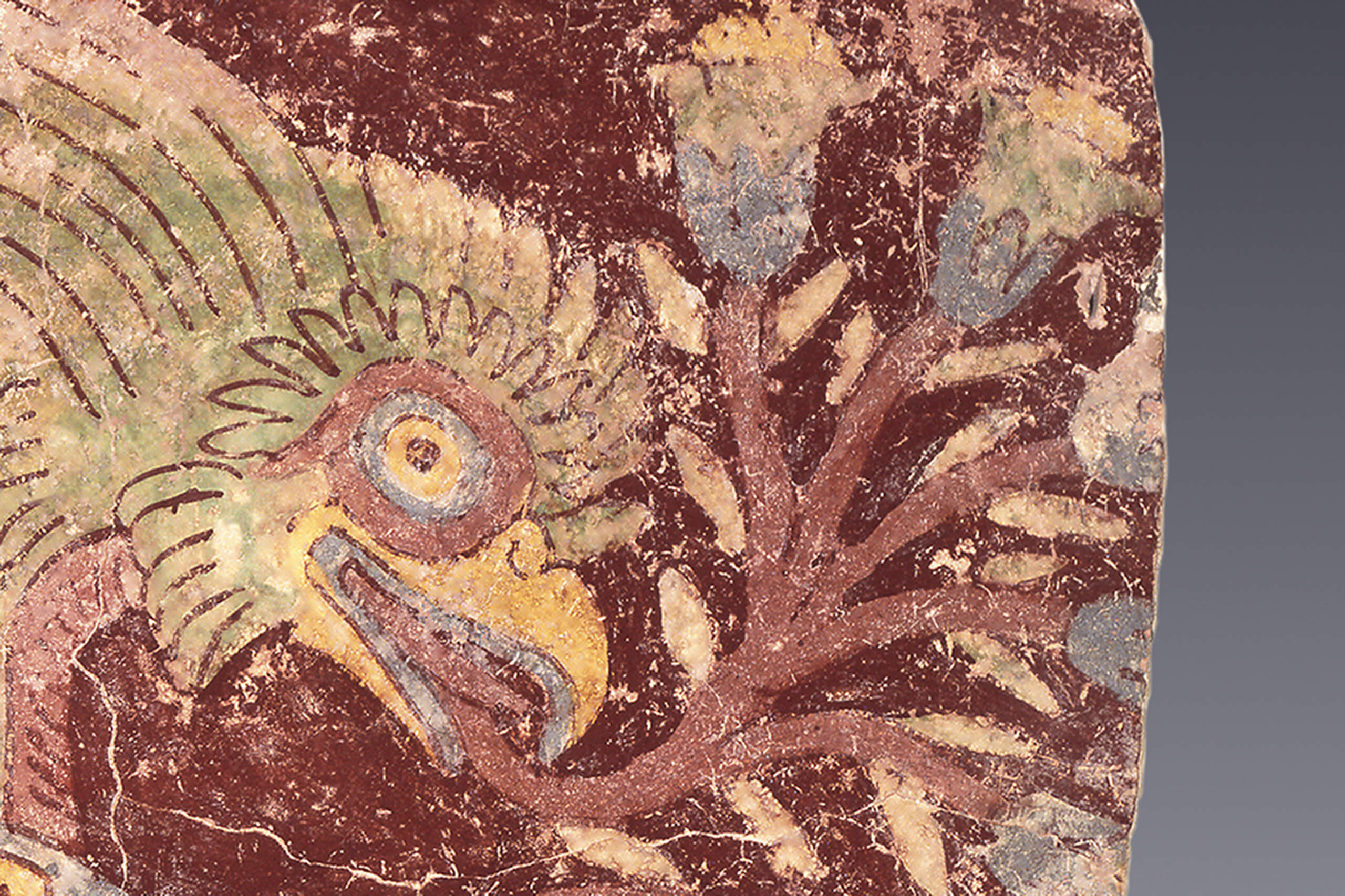 Quetzal alegórico, fragmento de pintura mural | El México antiguo. Salas de Arte Prehispánico | Museo Amparo, Puebla