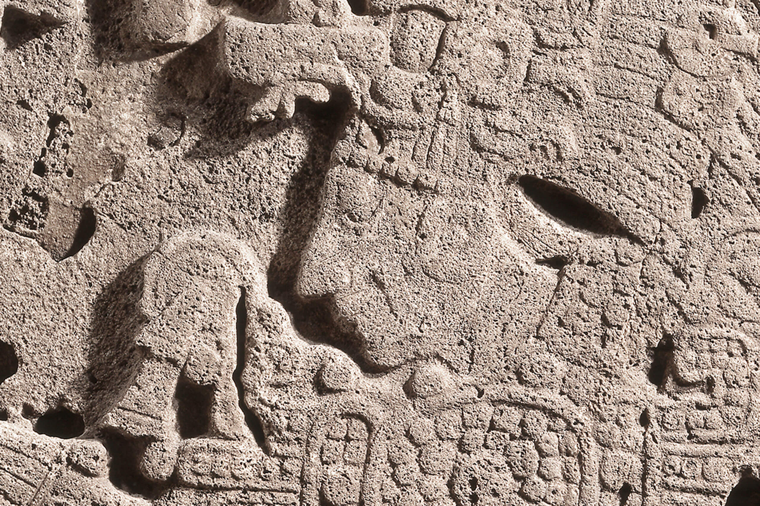 Fragmento superior de estela con gobernante | El México antiguo. Salas de Arte Prehispánico | Museo Amparo, Puebla