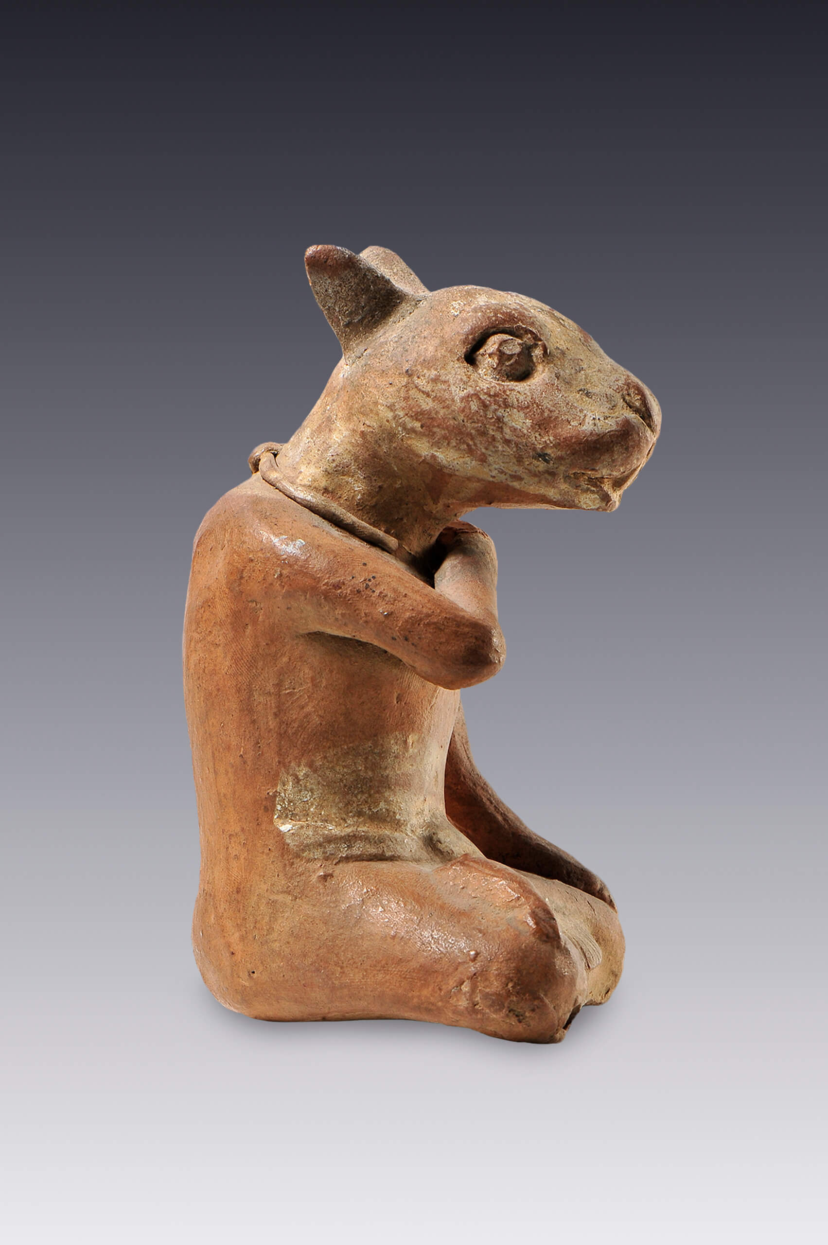 Silbato-efigie de un personaje ataviado con máscara de conejo | El México antiguo. Salas de Arte Prehispánico | Museo Amparo, Puebla