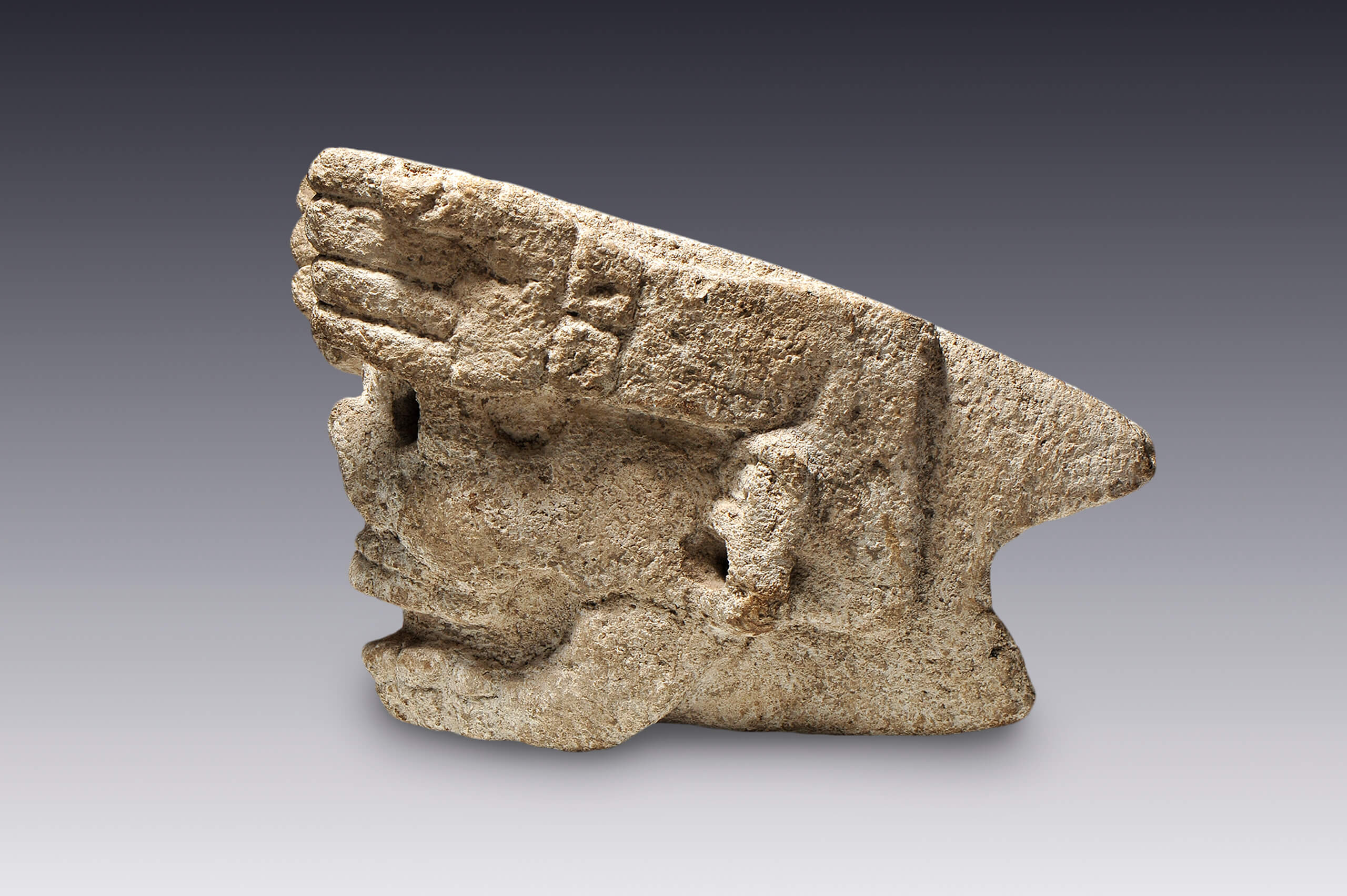 Calavera con manos | El México antiguo. Salas de Arte Prehispánico | Museo Amparo, Puebla