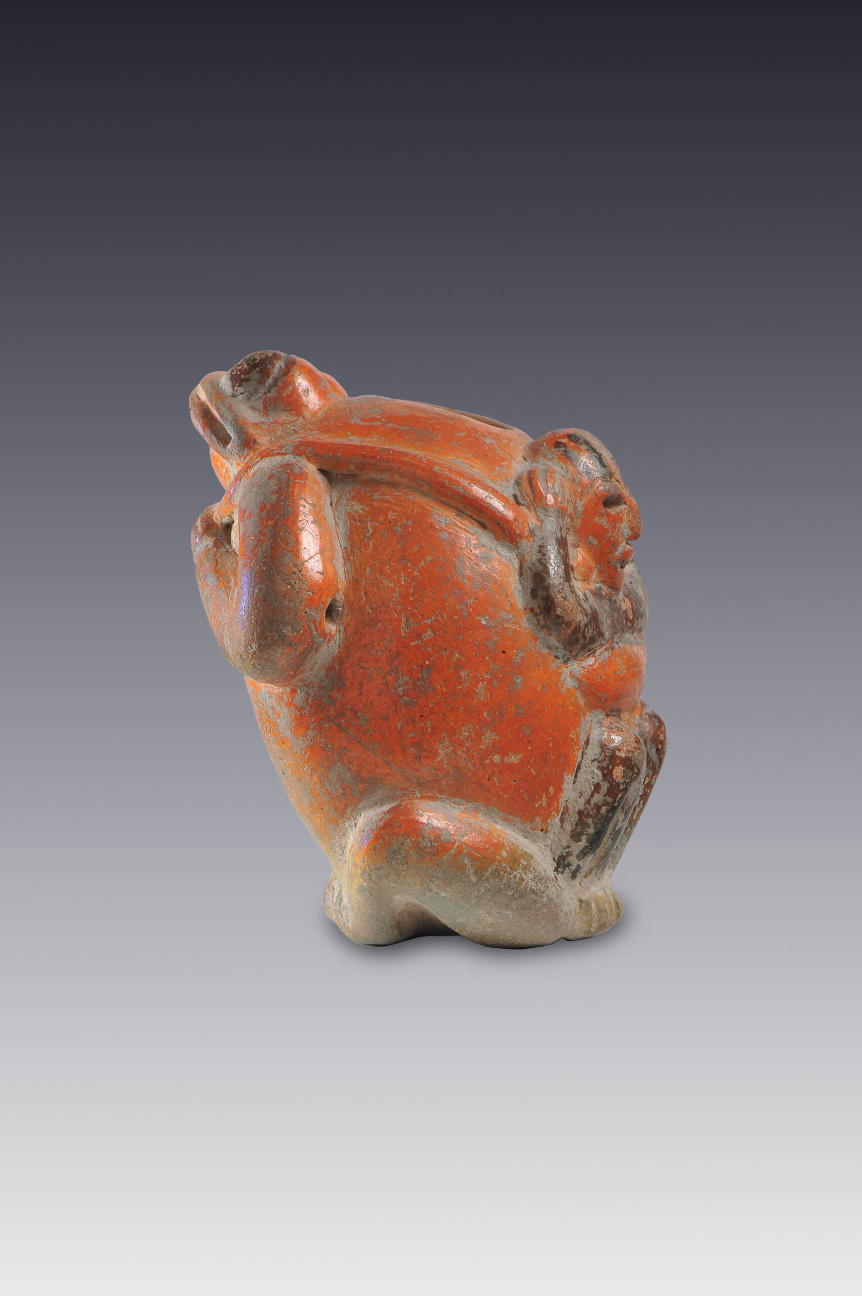Recipiente con forma de sapo | El México antiguo. Salas de Arte Prehispánico | Museo Amparo, Puebla