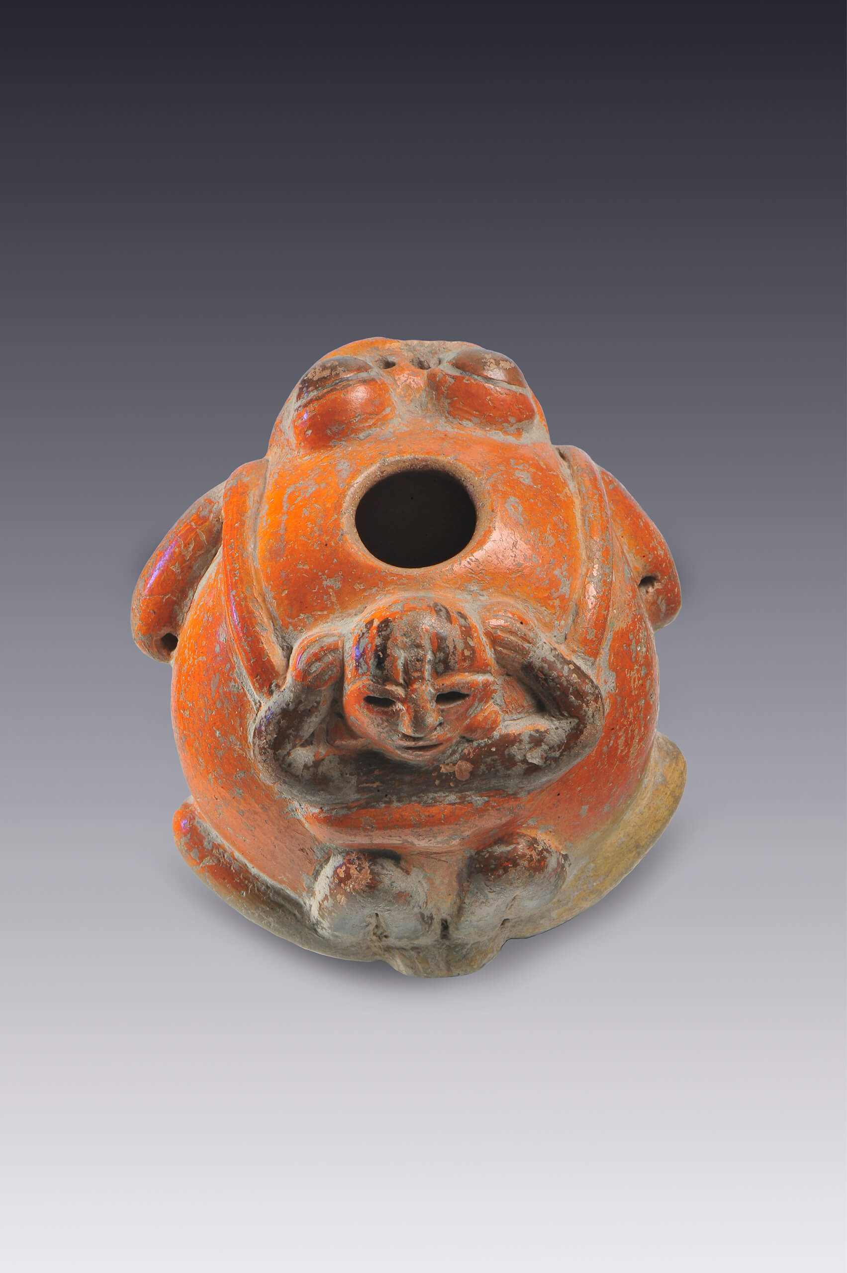 Recipiente con forma de sapo | El México antiguo. Salas de Arte Prehispánico | Museo Amparo, Puebla