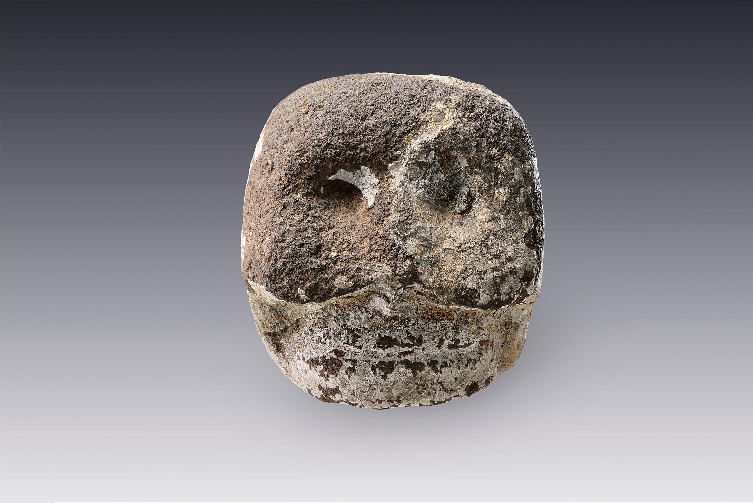 Fragmento de un tzompantli escultórico | El México antiguo. Salas de Arte Prehispánico | Museo Amparo, Puebla