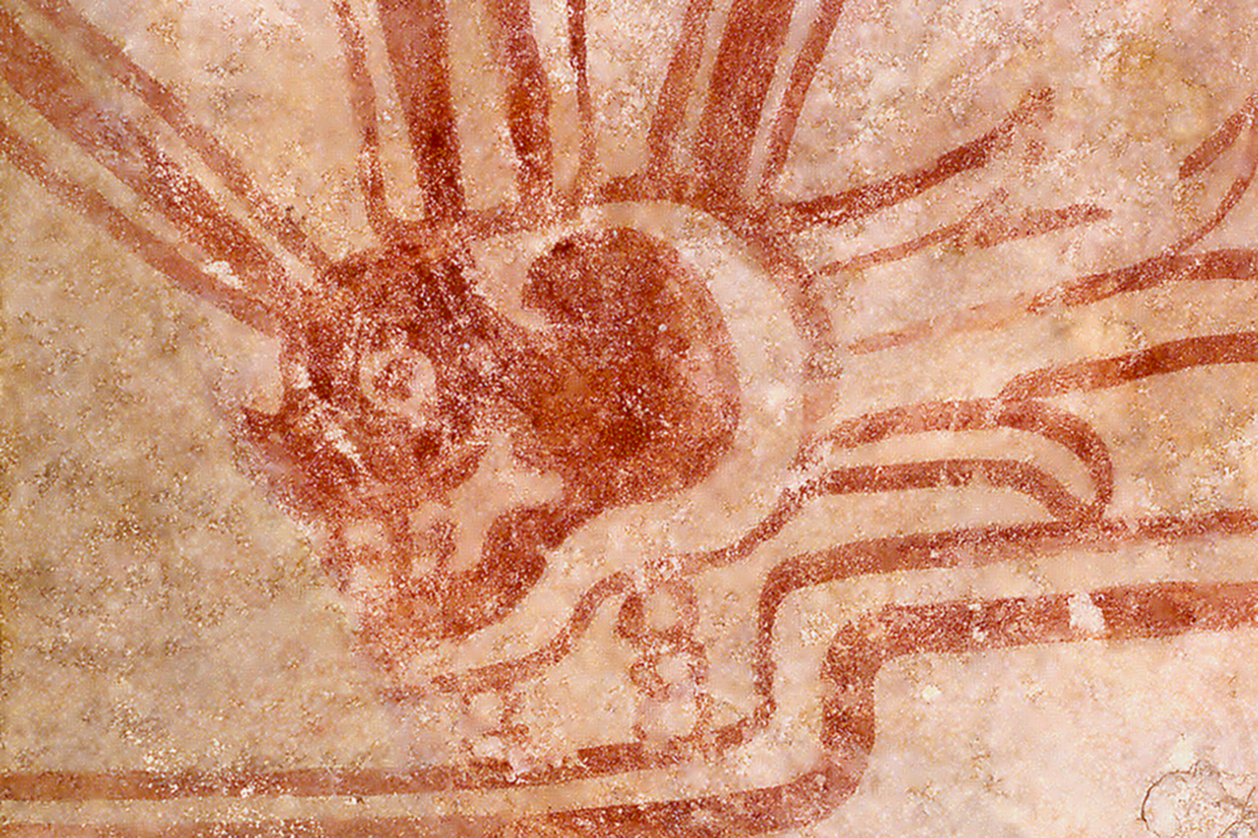 Fragmento de pintura mural con escena alusiva a la muerte y el sacrificio | El México antiguo. Salas de Arte Prehispánico | Museo Amparo, Puebla