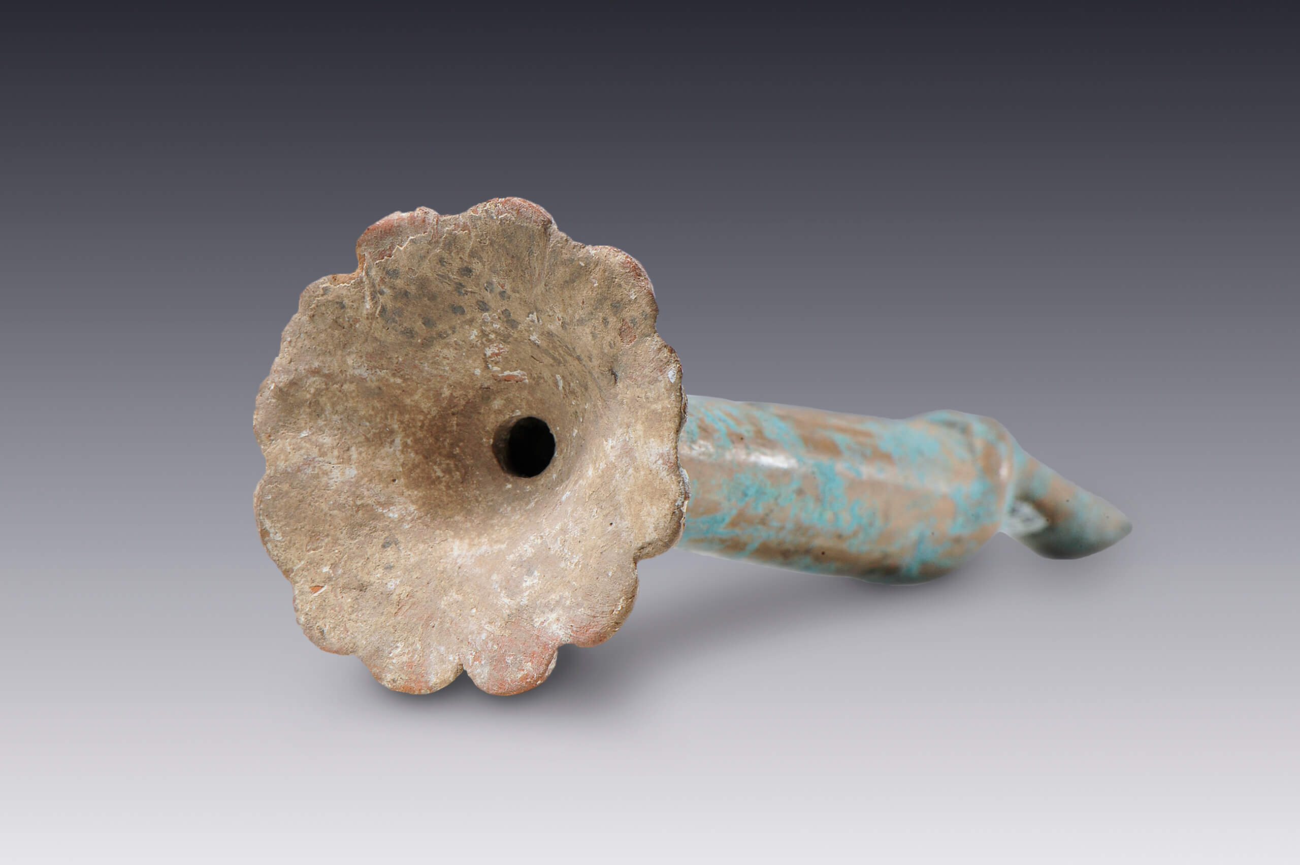 Flauta tubular con pabellón fitomorfo | El México antiguo. Salas de Arte Prehispánico | Museo Amparo, Puebla