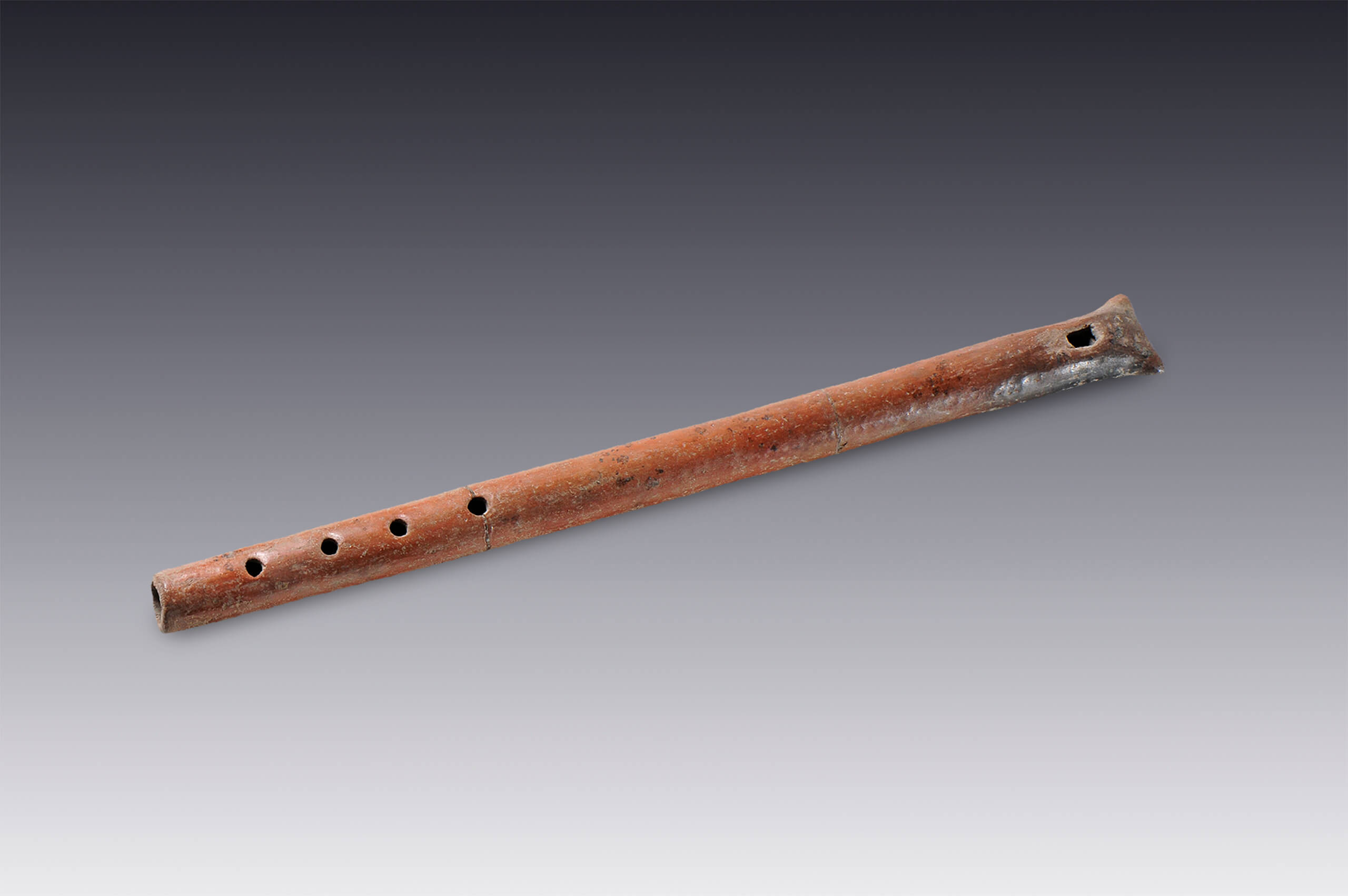 Flauta tubular | El México antiguo. Salas de Arte Prehispánico | Museo Amparo, Puebla