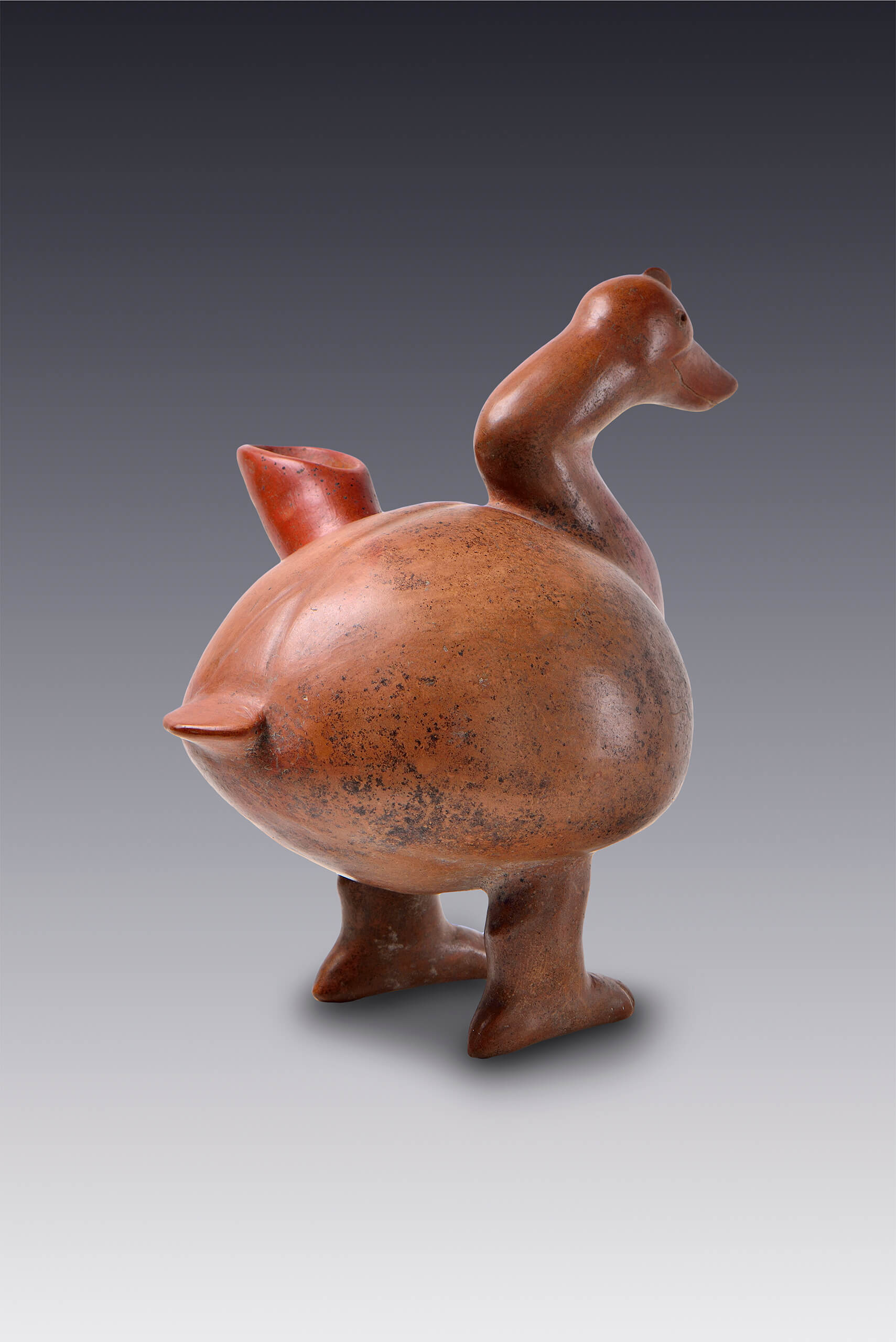 Vasija con forma de pato | El México antiguo. Salas de Arte Prehispánico | Museo Amparo, Puebla