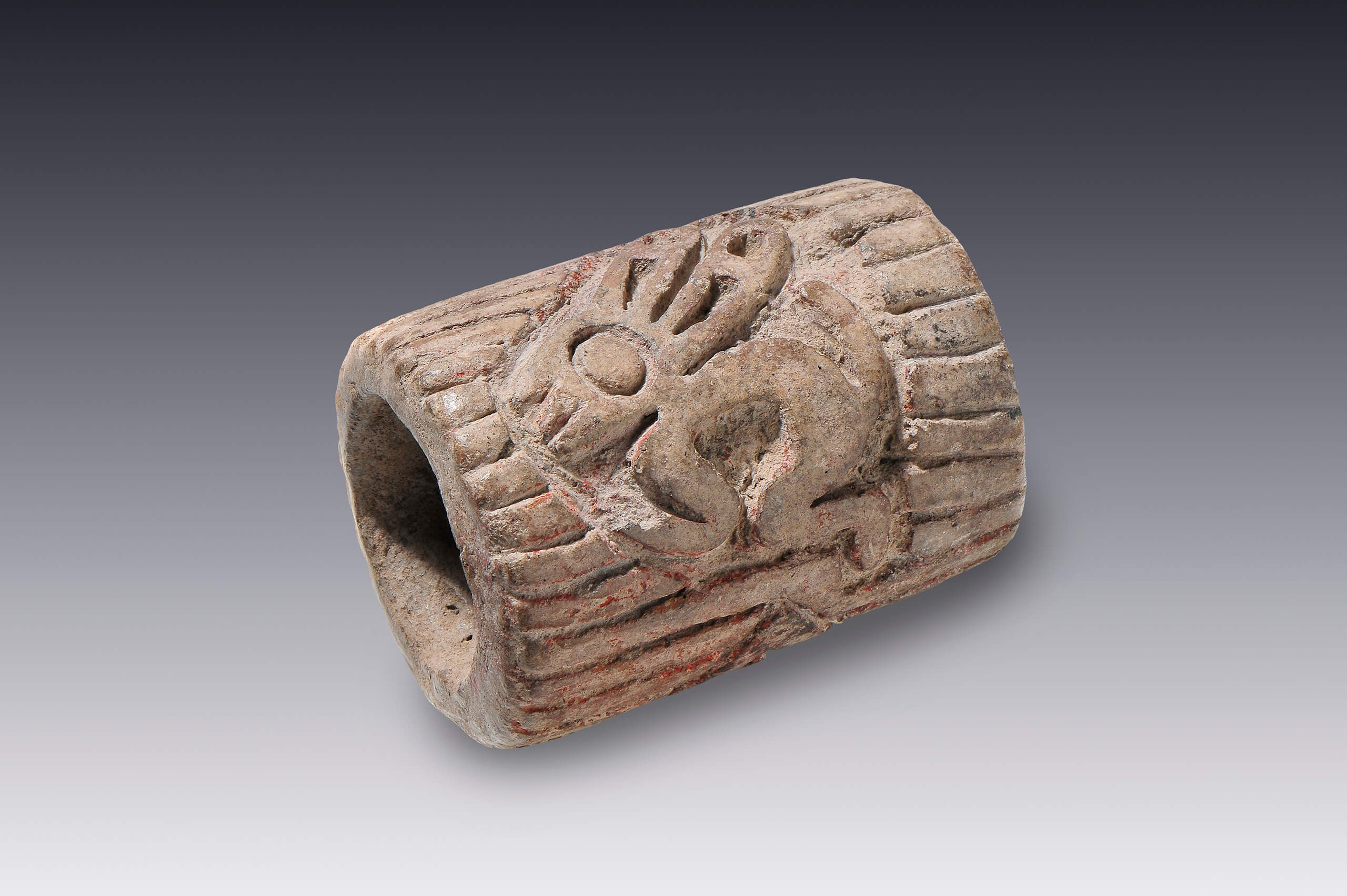 Sello cilíndrico con flor y conejo | El México antiguo. Salas de Arte Prehispánico | Museo Amparo, Puebla