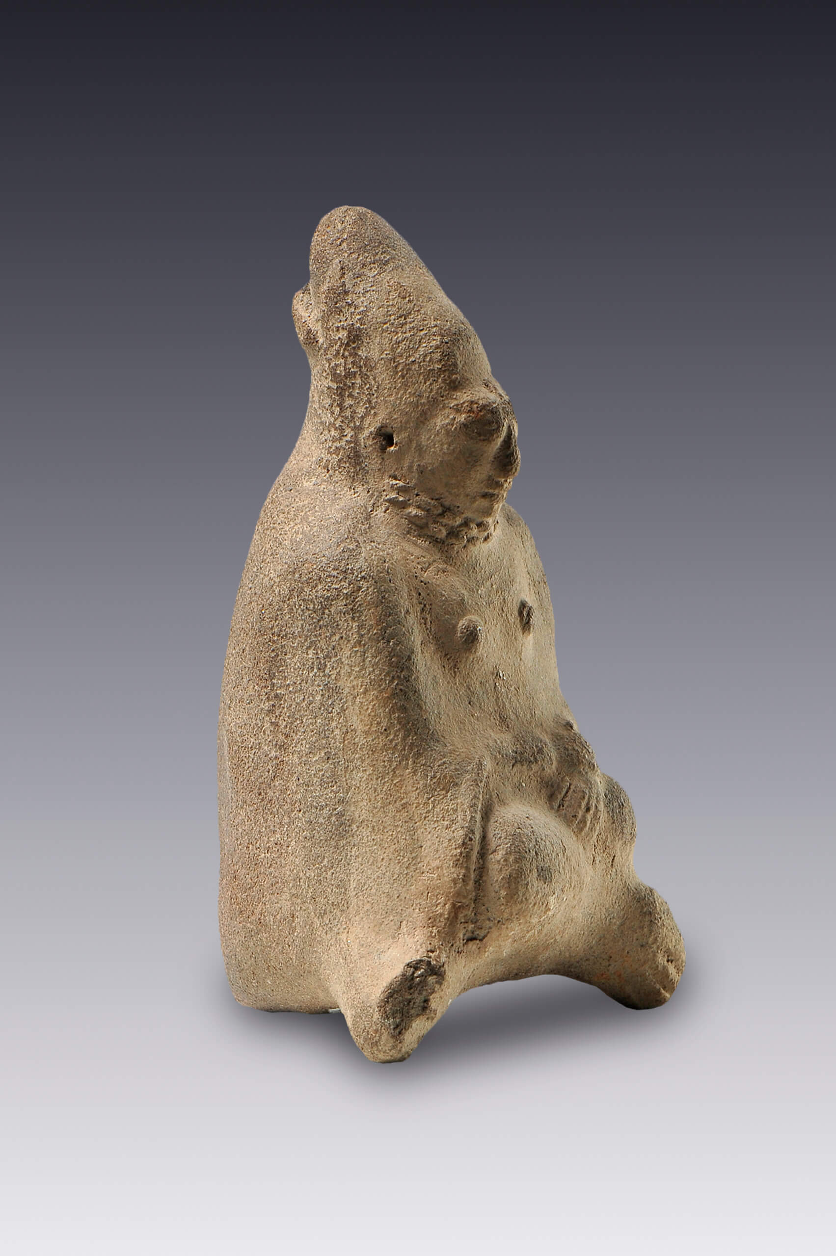 Silbato-efigie femenino con deformación craneana | El México antiguo. Salas de Arte Prehispánico | Museo Amparo, Puebla
