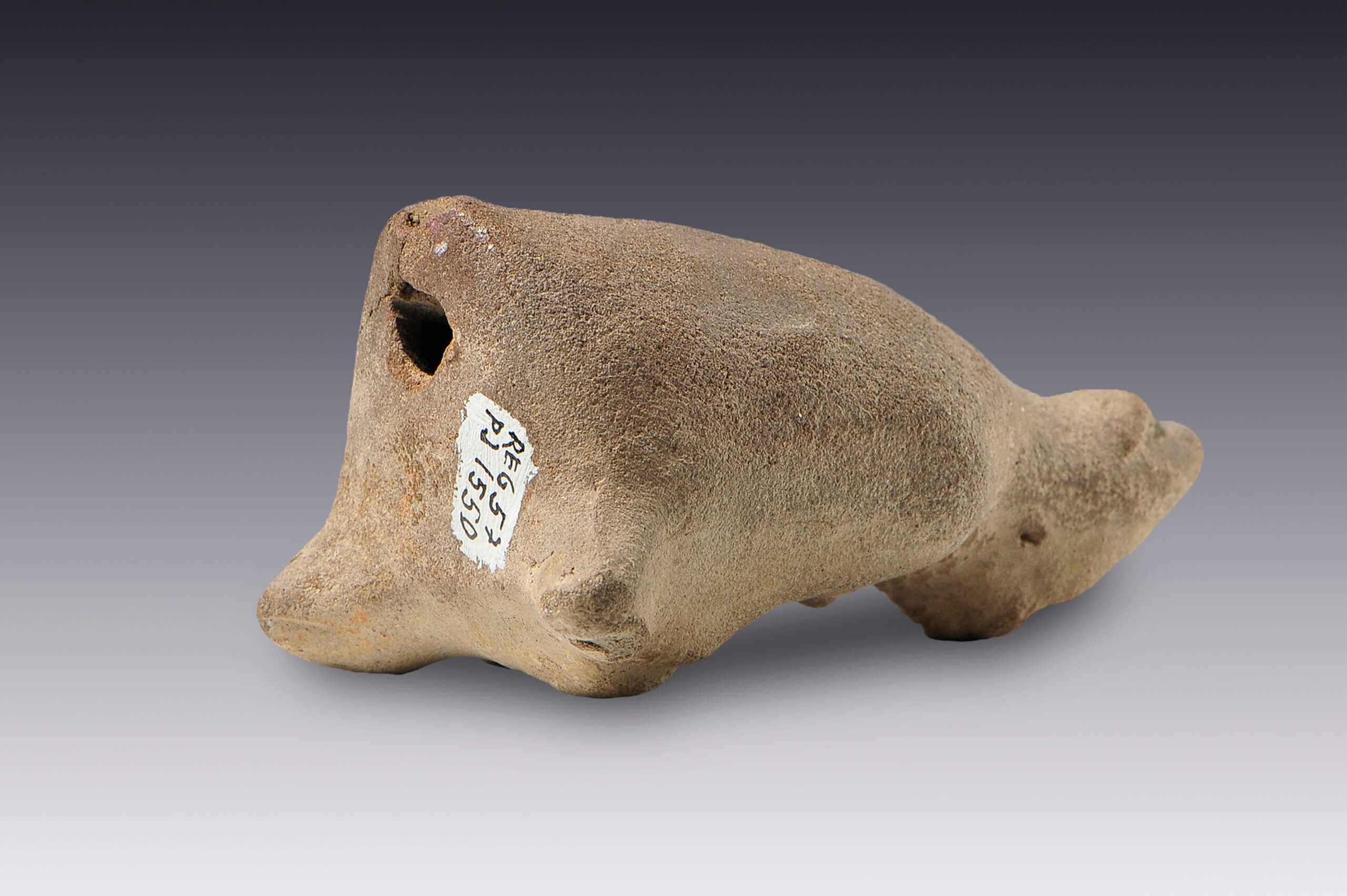 Silbato-efigie femenino con deformación craneana | El México antiguo. Salas de Arte Prehispánico | Museo Amparo, Puebla