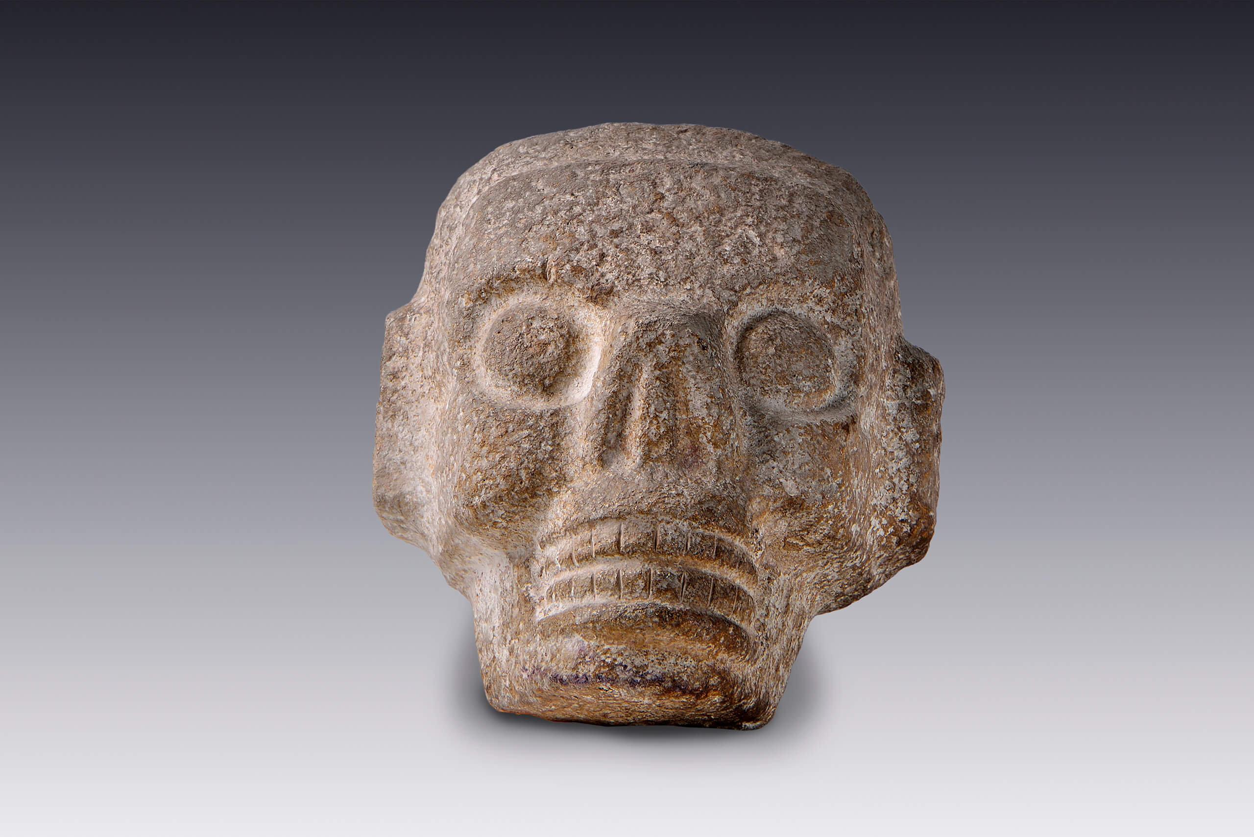 Cráneo con clavo para empotramiento | El México antiguo. Salas de Arte Prehispánico | Museo Amparo, Puebla