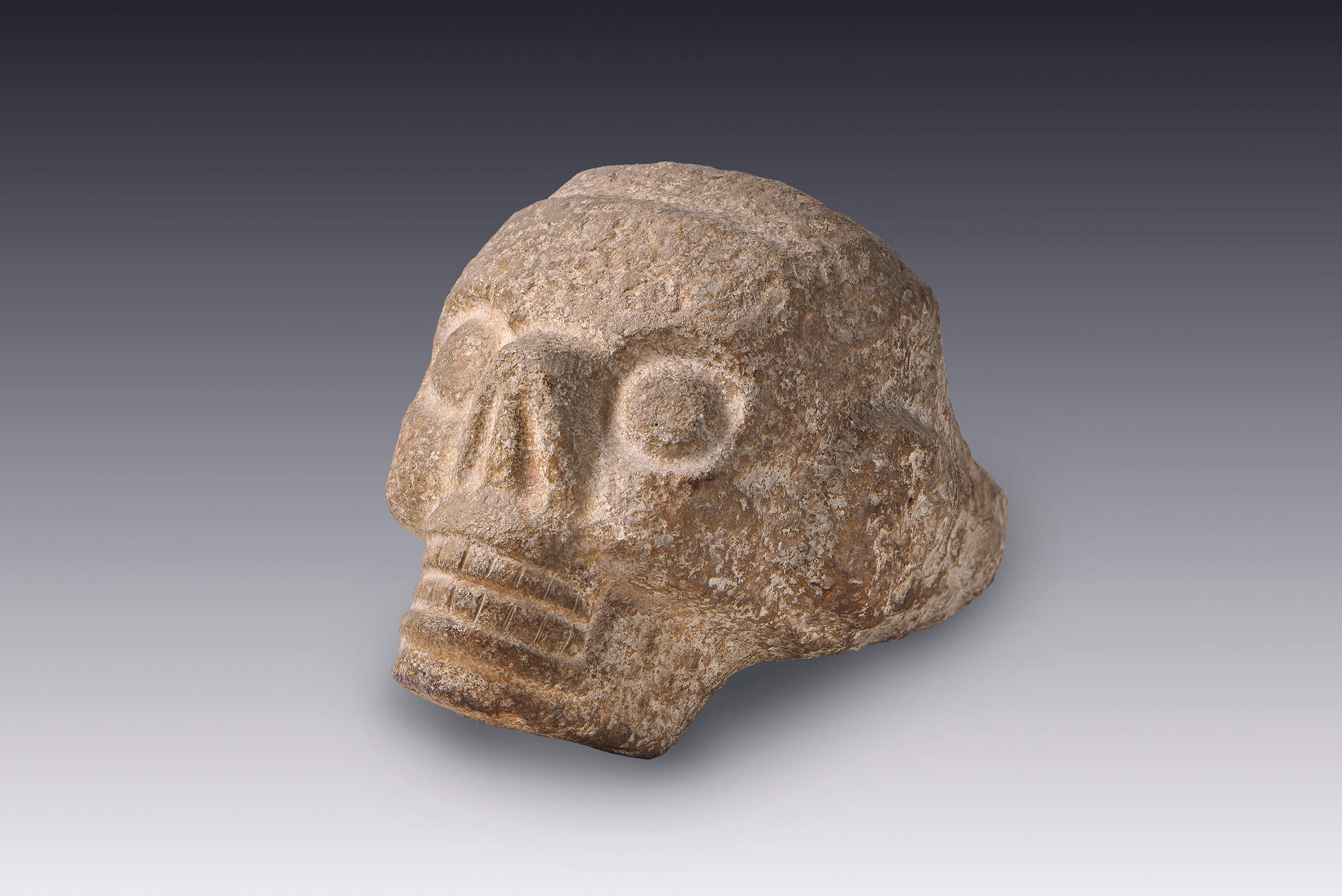 Cráneo con clavo para empotramiento | El México antiguo. Salas de Arte Prehispánico | Museo Amparo, Puebla