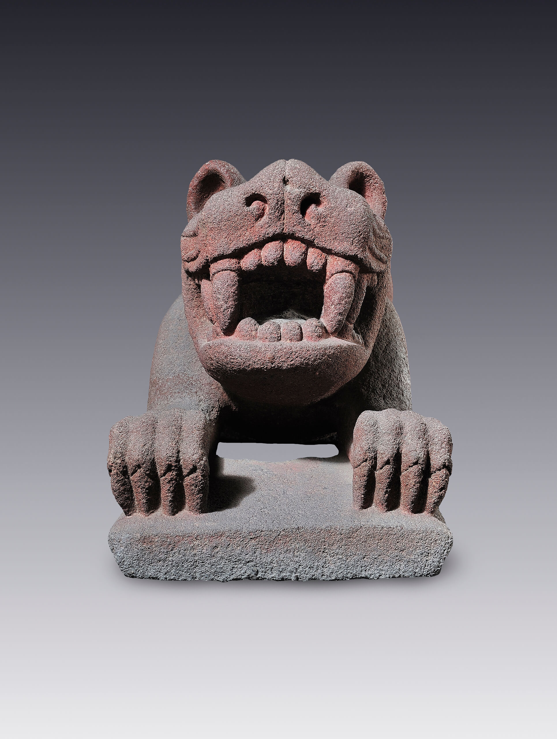 Felino recostado | El México antiguo. Salas de Arte Prehispánico | Museo Amparo, Puebla